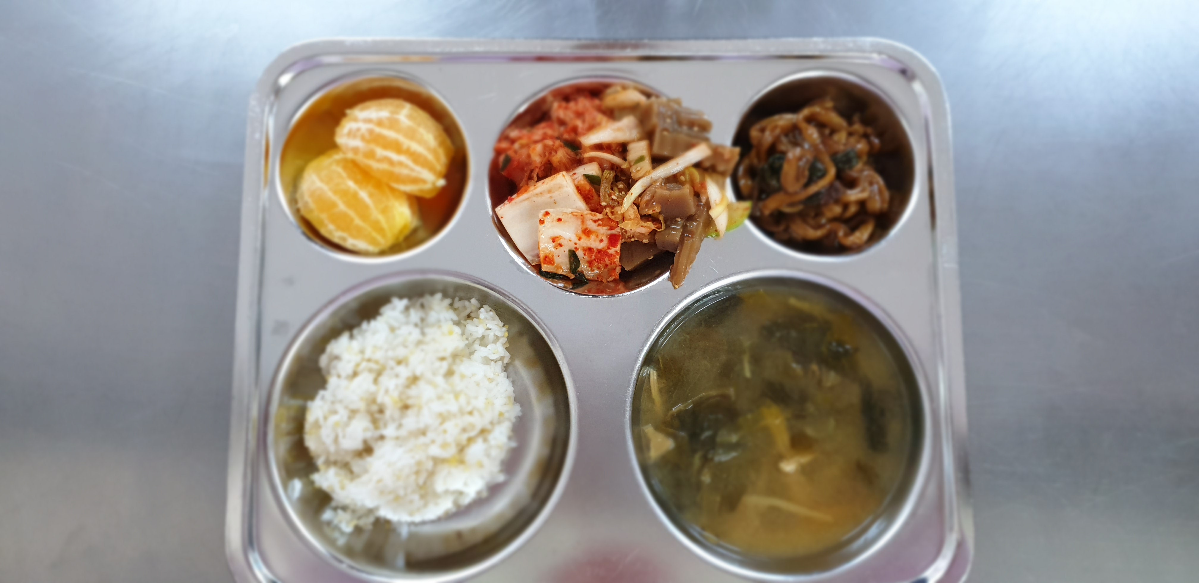 20190405_115046[1].jpg