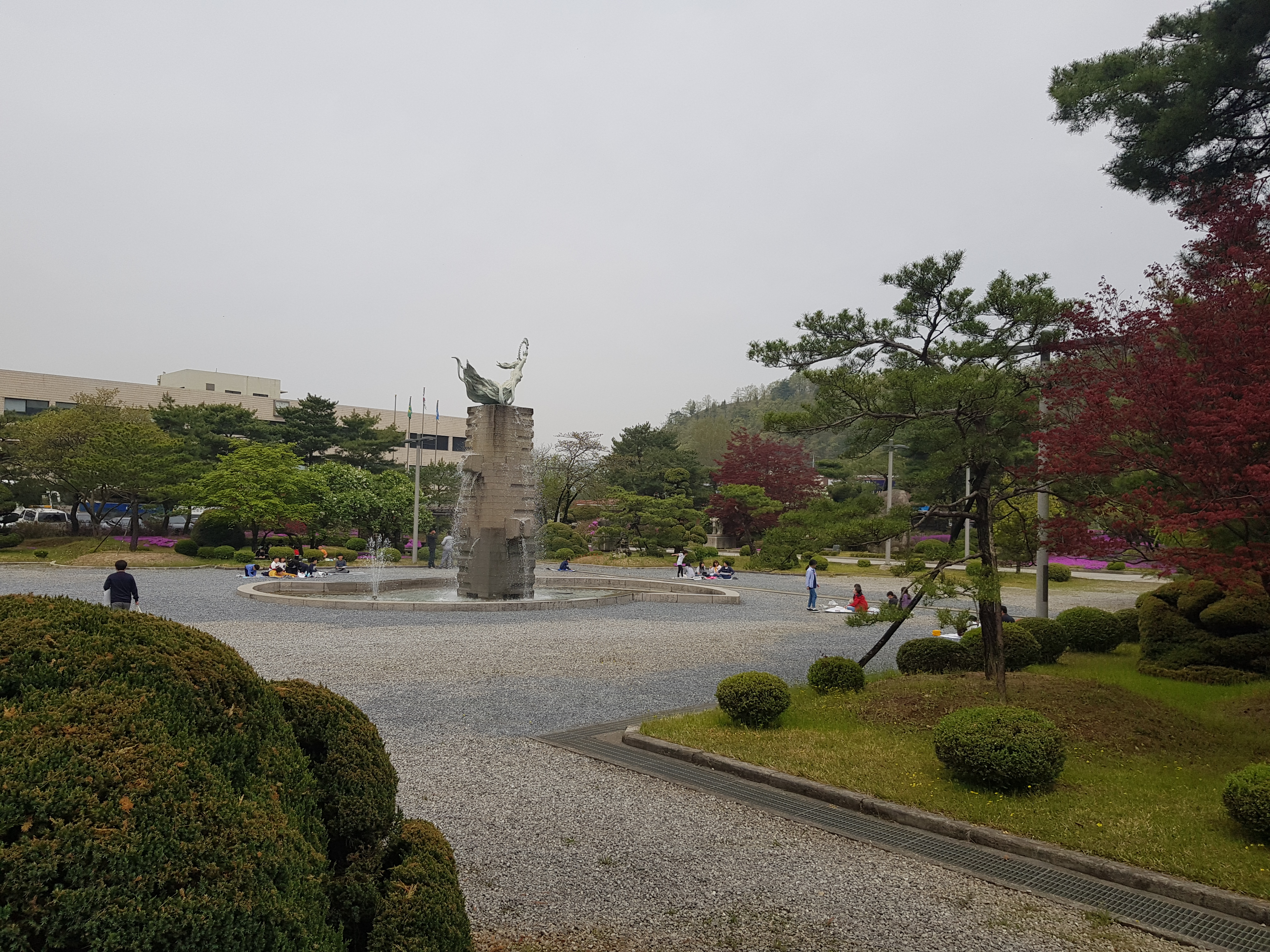 20190429_103914.jpg
