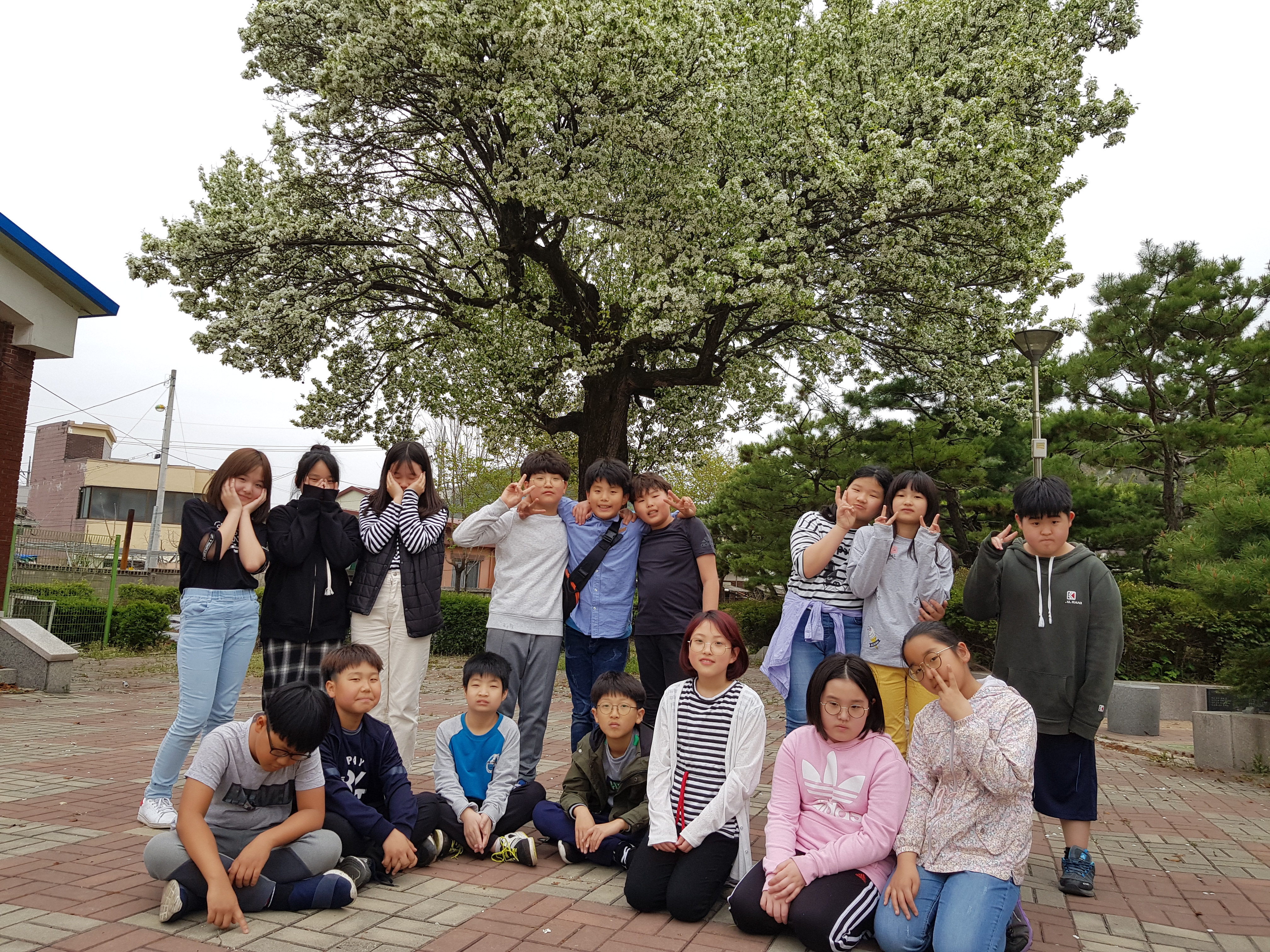 20190423_131507.jpg