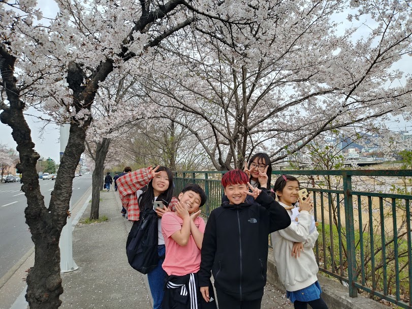 20190409_093919_HDR.jpg