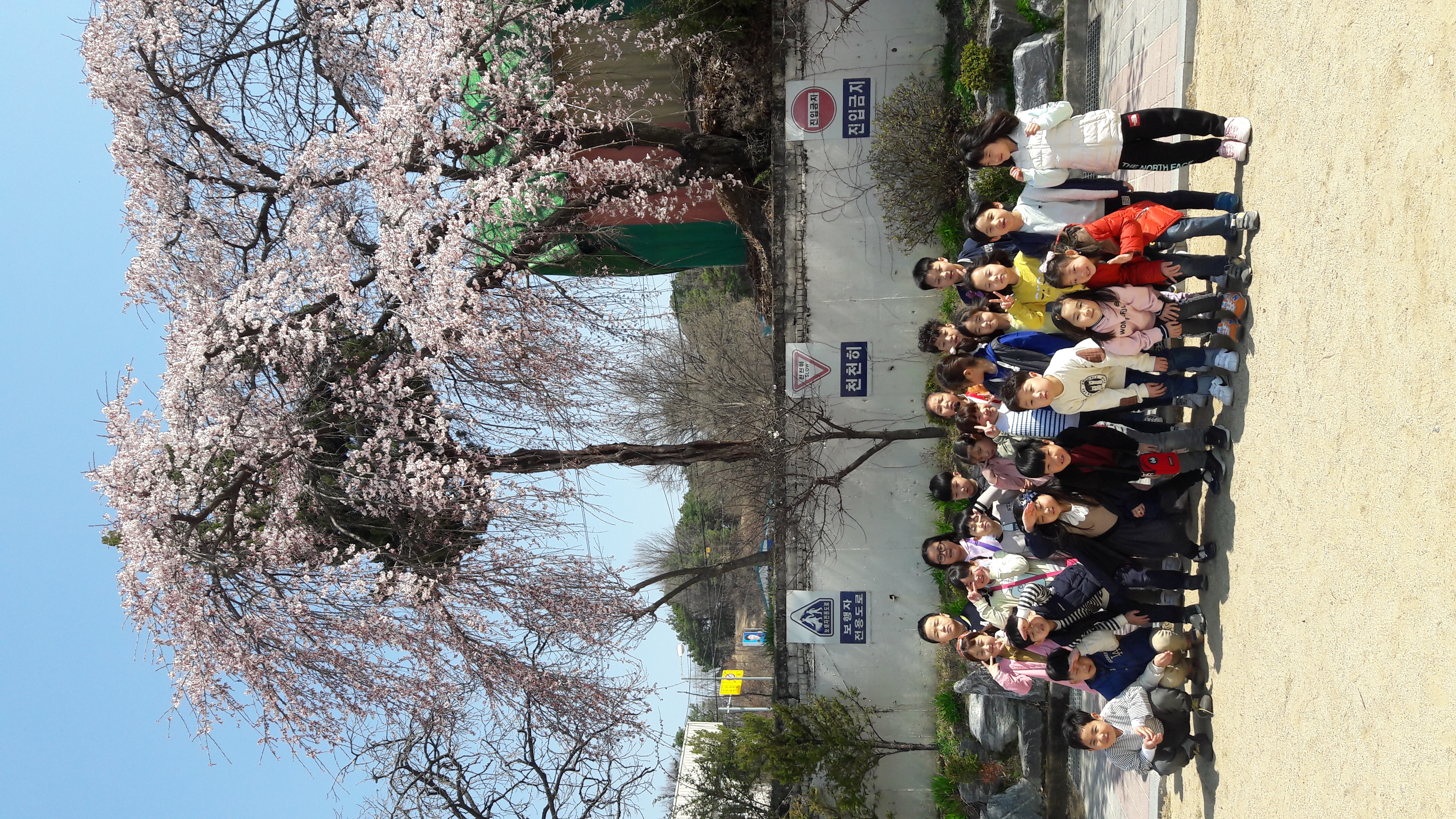 20190404_112050.jpg