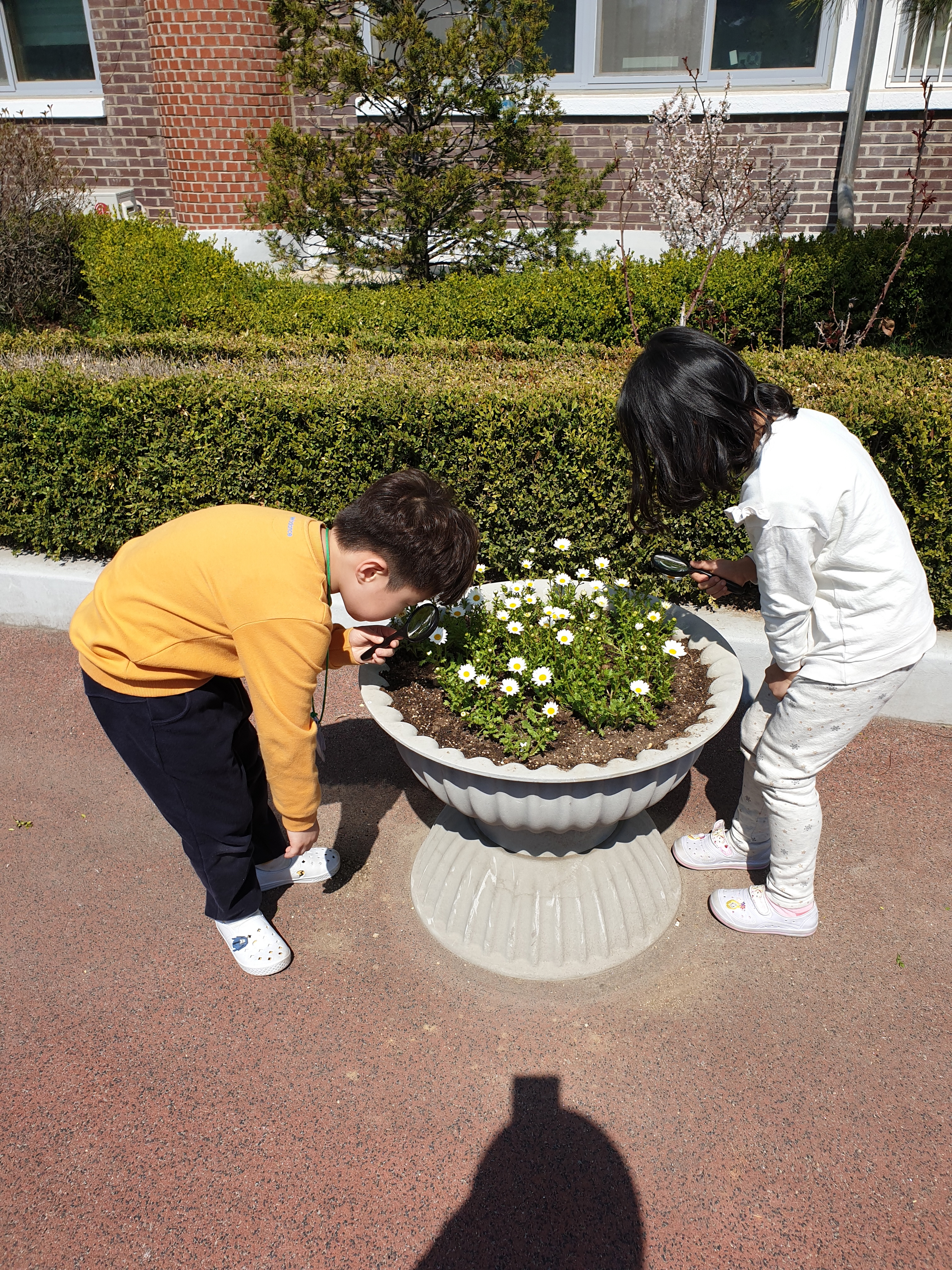 봄친구들 관찰 (9).jpg