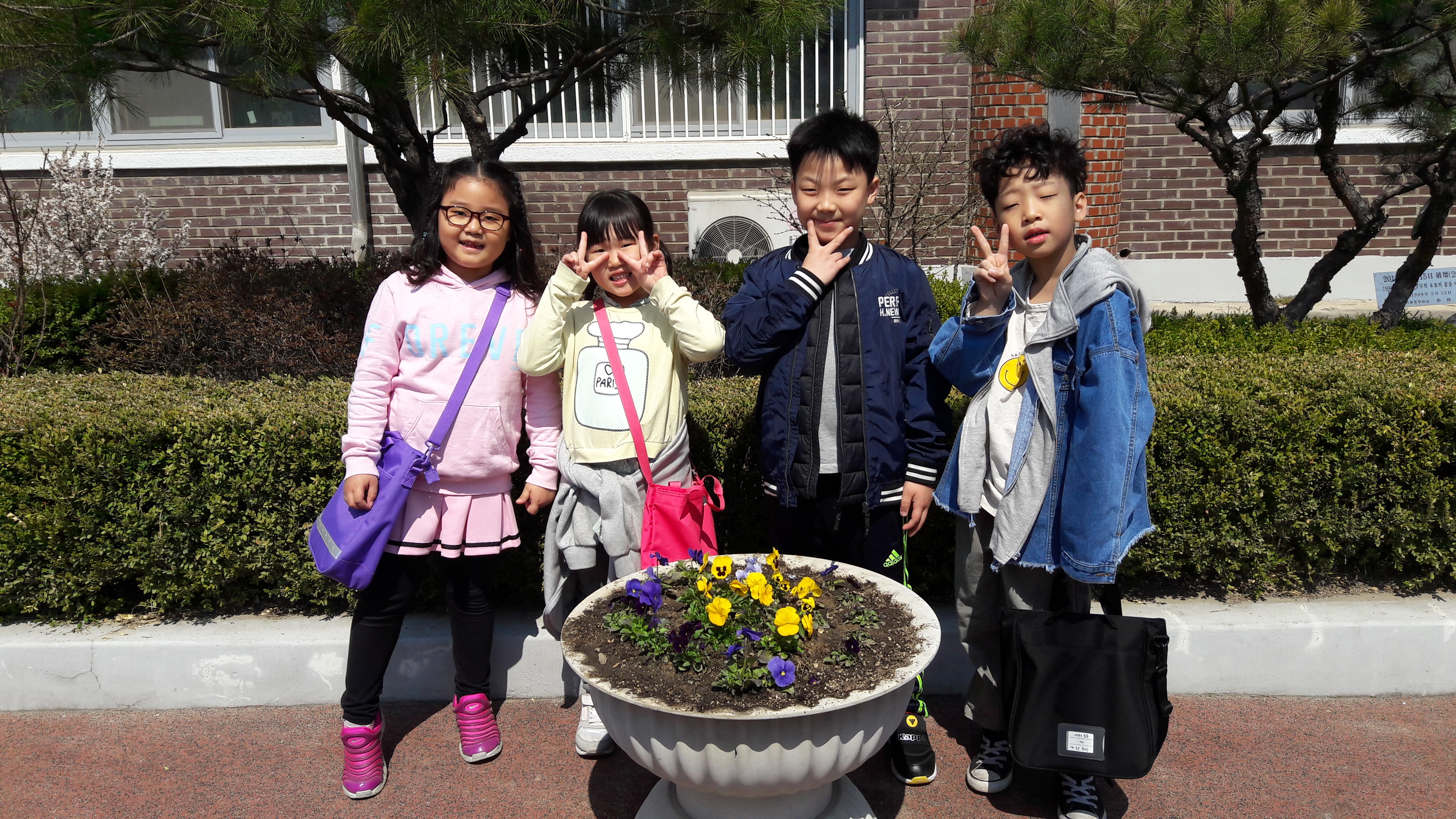 20190404_112607.jpg