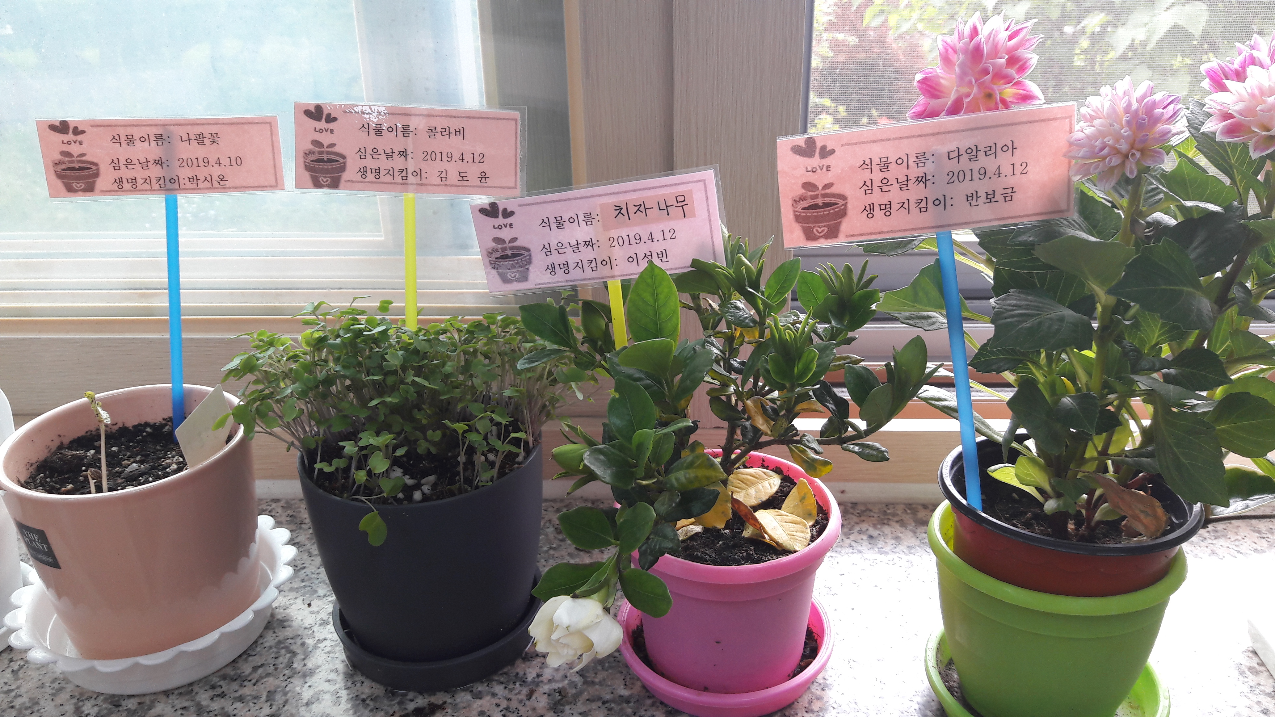 20190424_124032.jpg