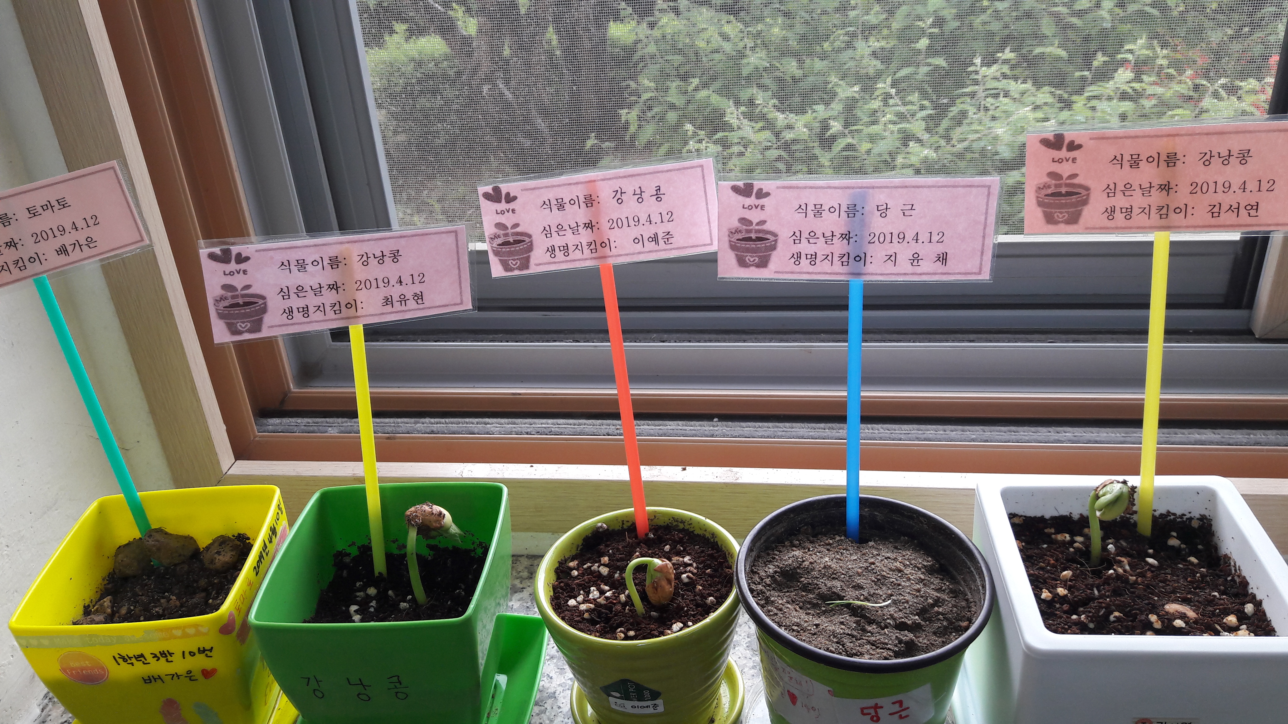 20190424_124116.jpg