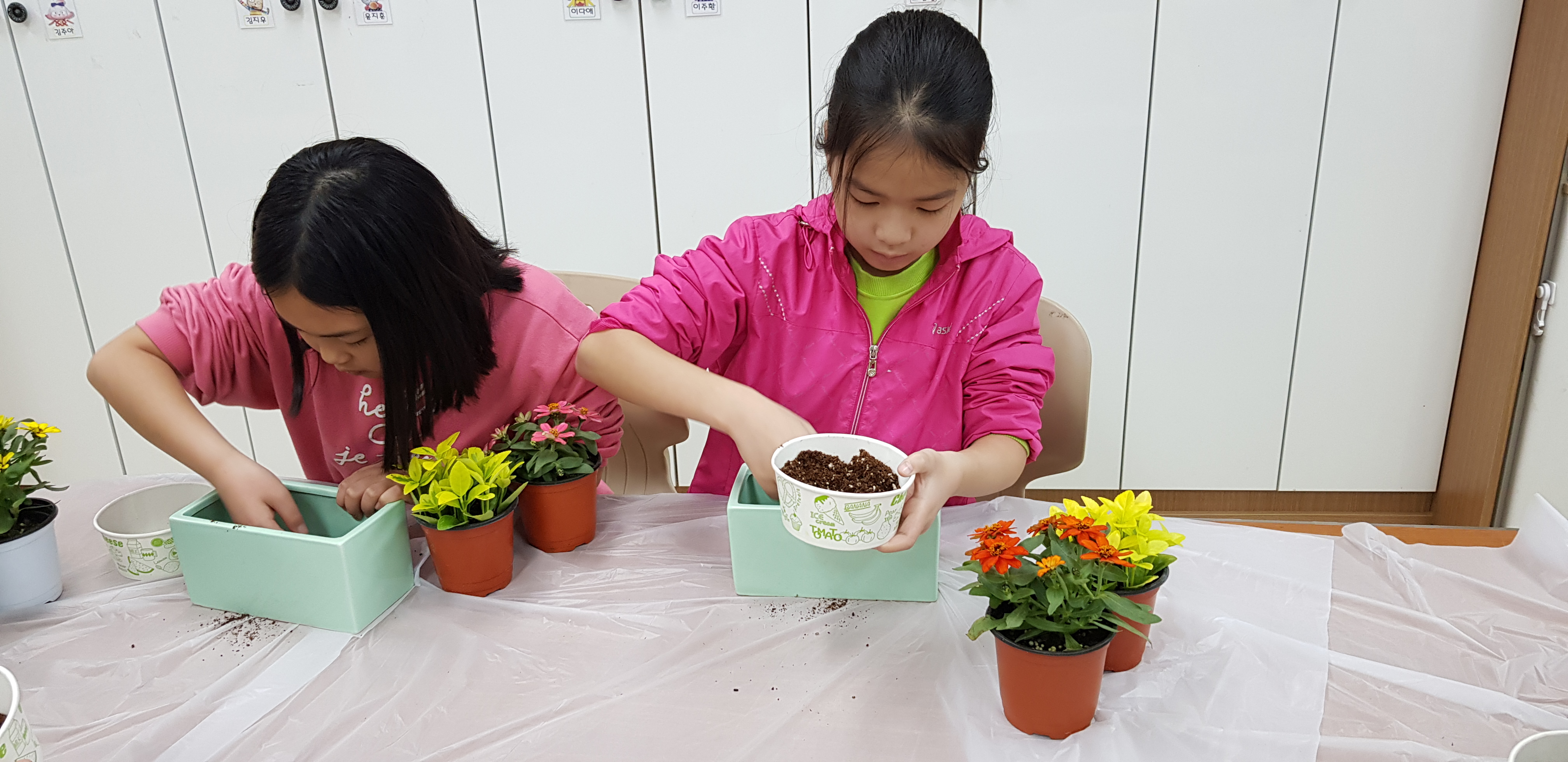 20190405_101613.jpg