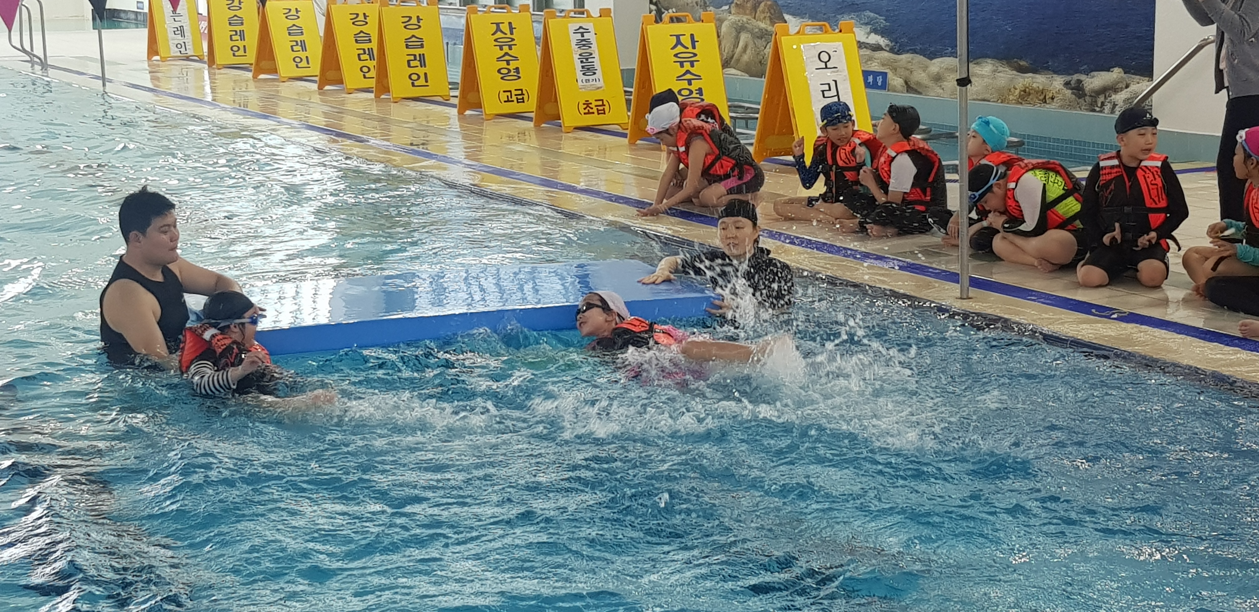 20190408_115757.jpg