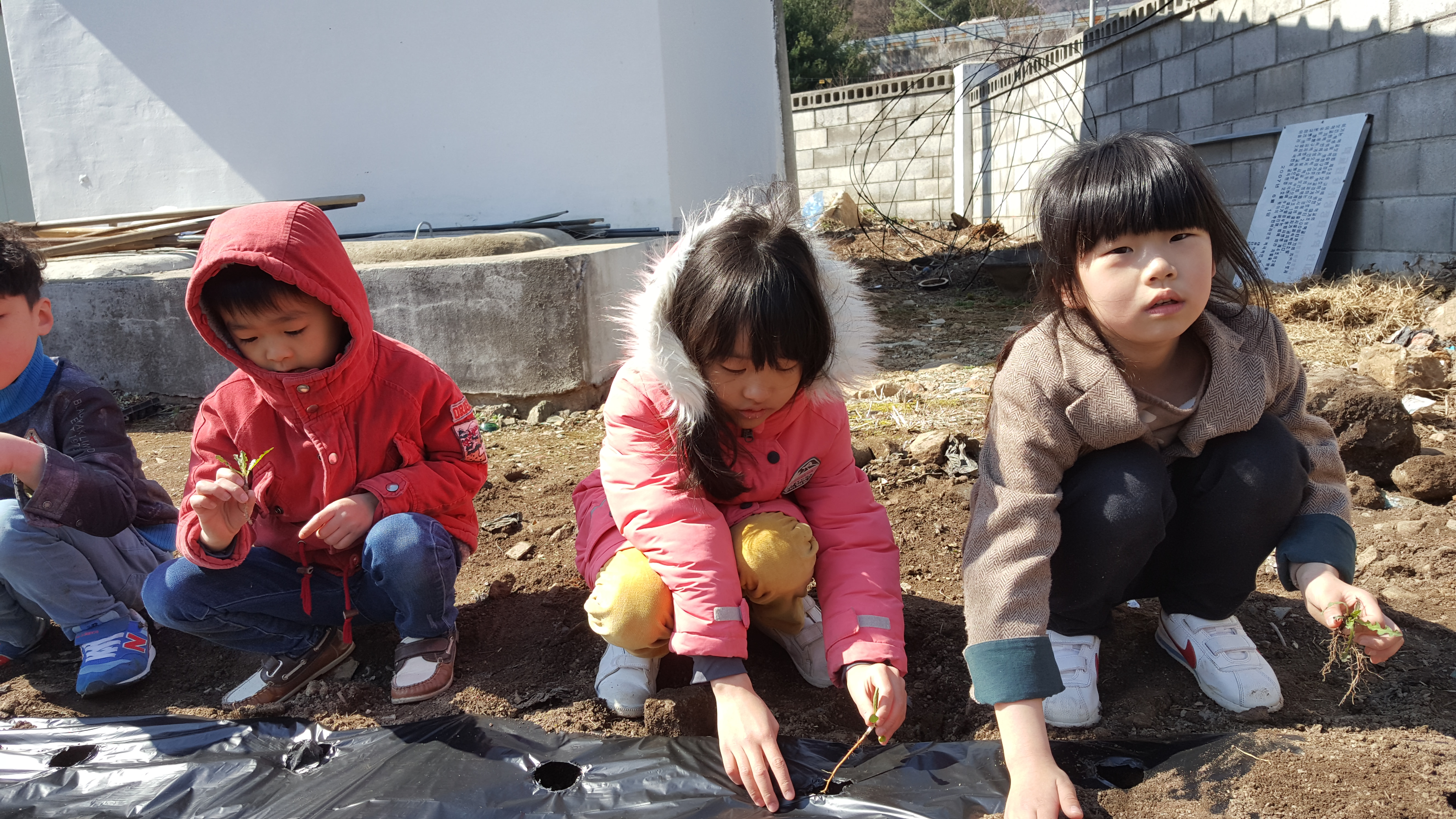 20190401_101834.jpg