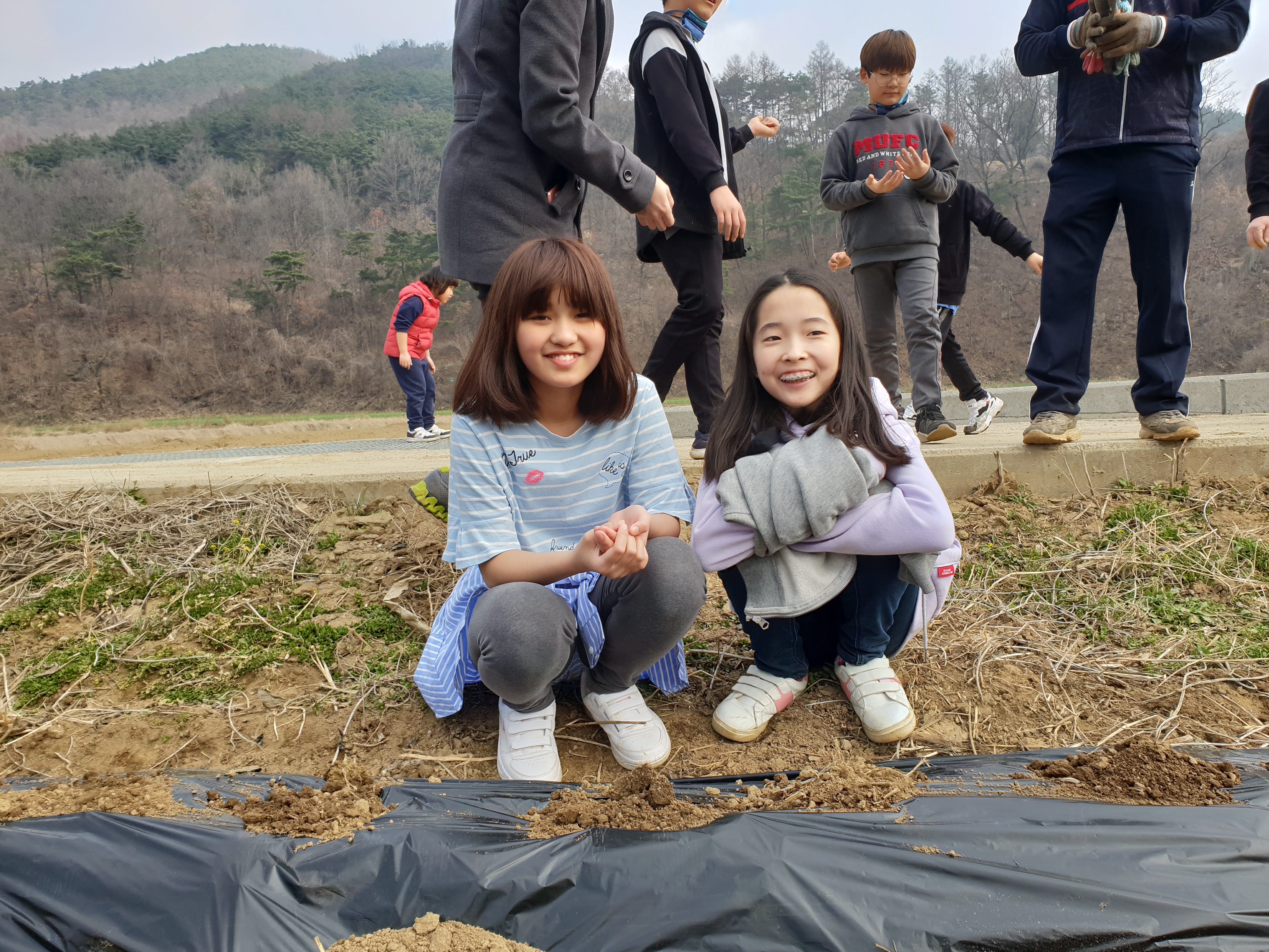 감자심기1.jpg