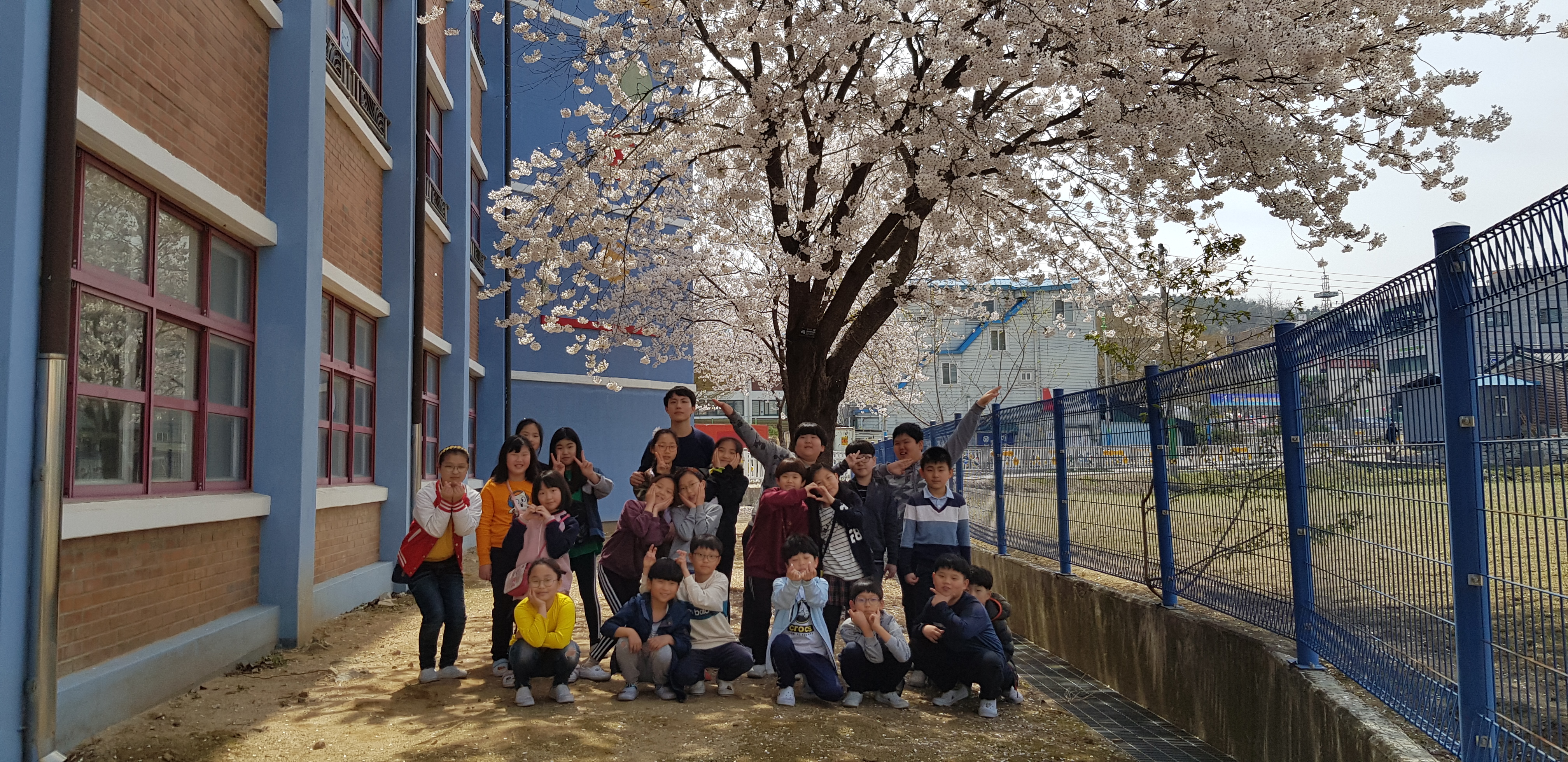 20190416_124743.jpg