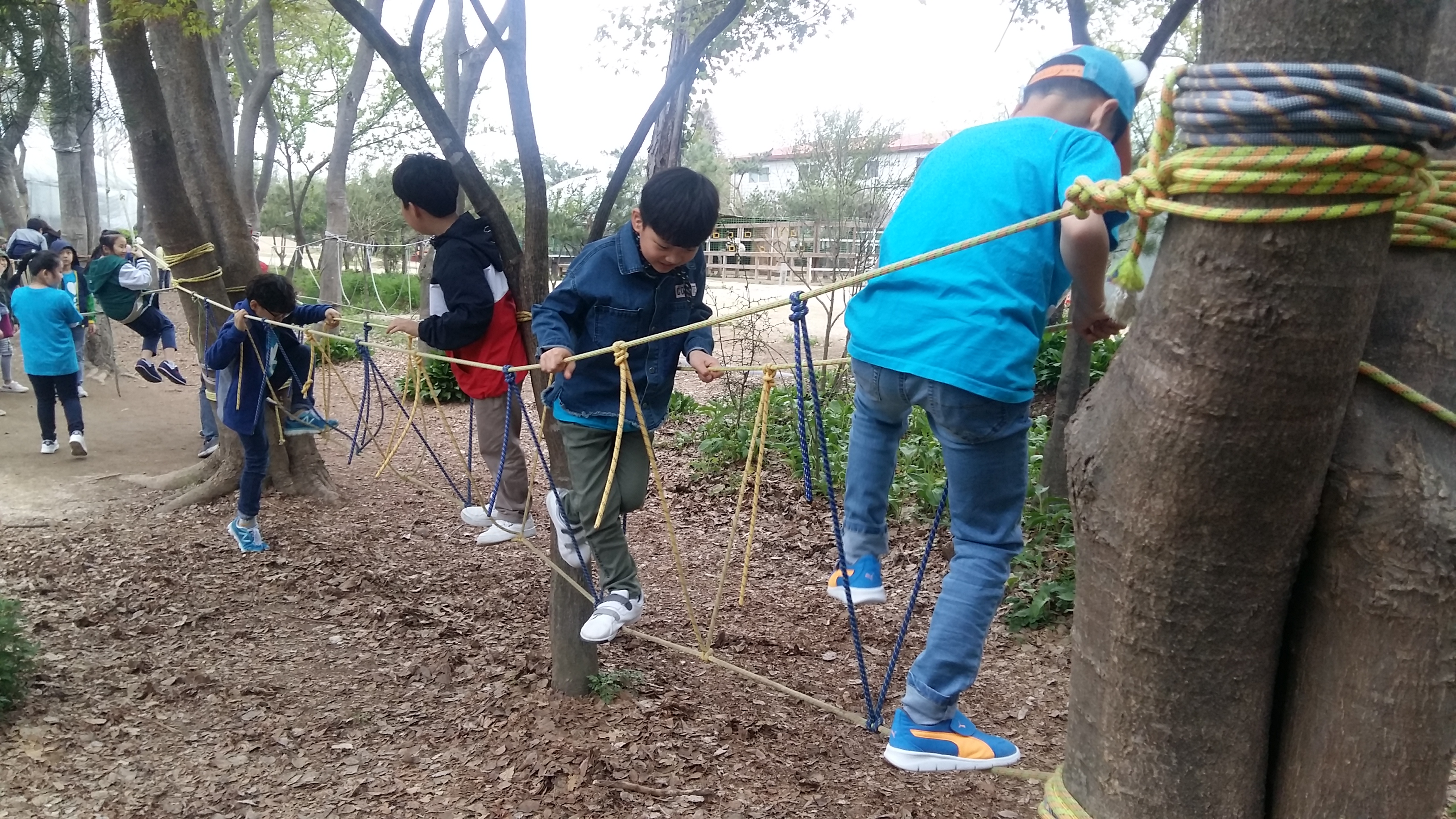 20190425_102150.jpg