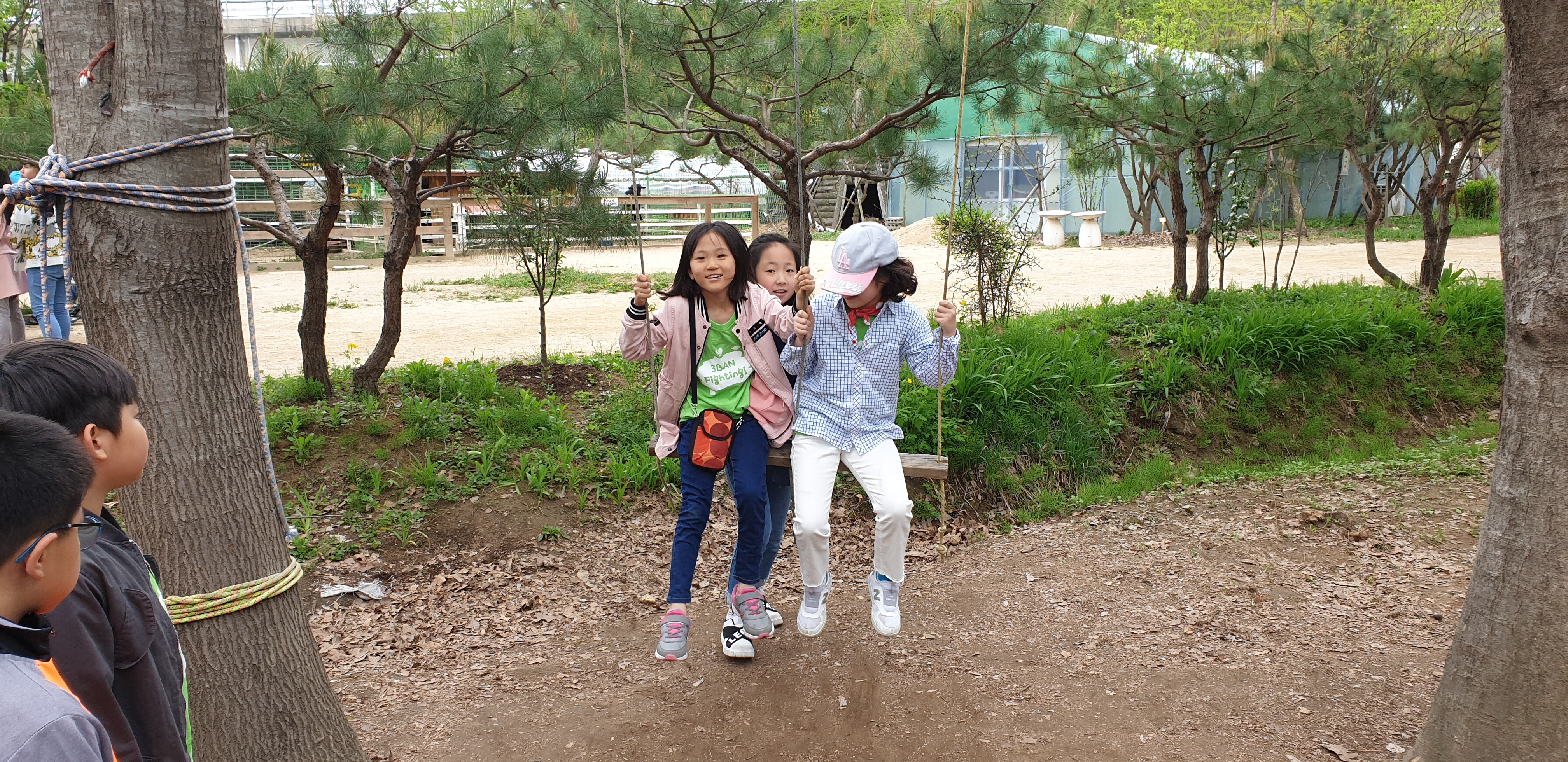 20190425_103659.jpg