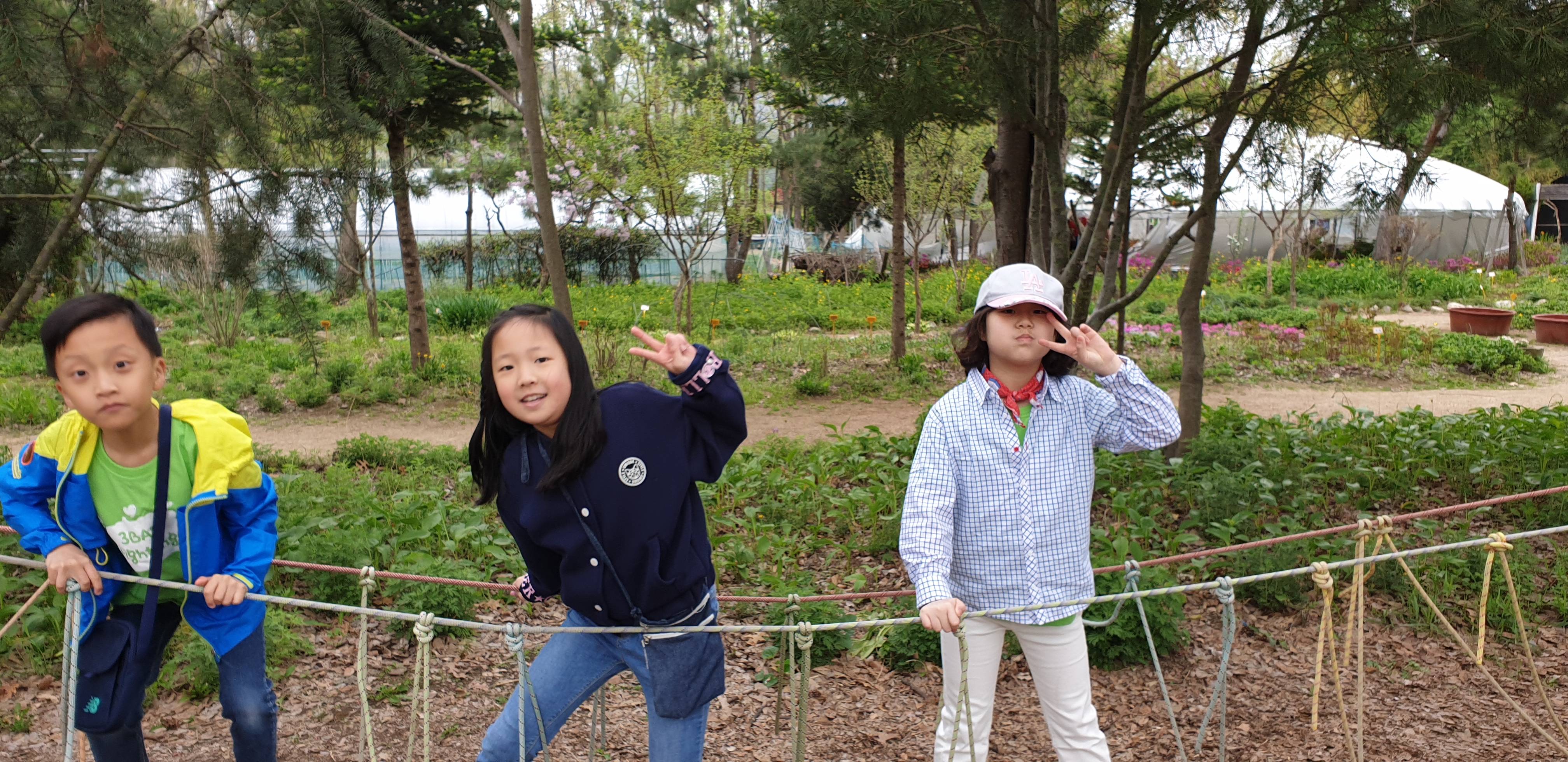 20190425_104451