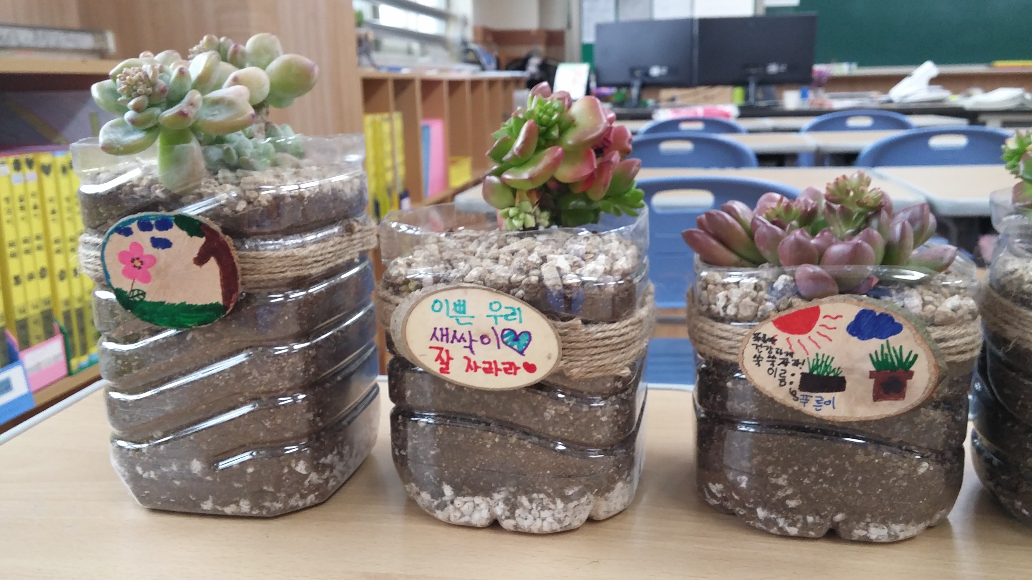 20190409_142851.jpg