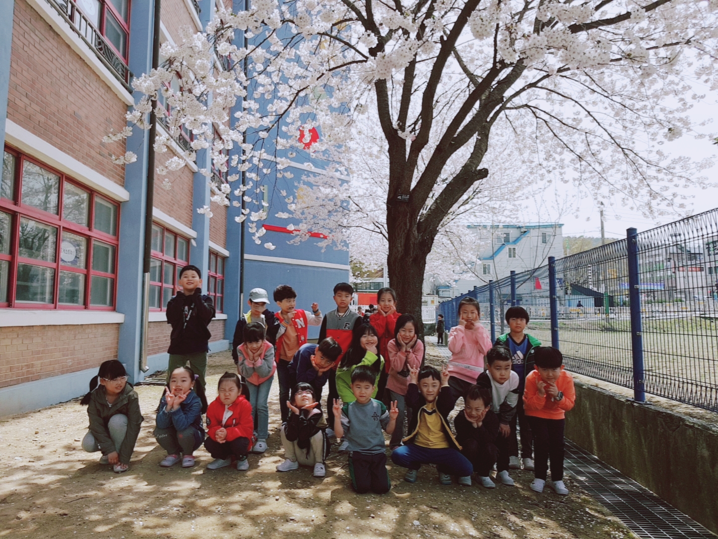 B612_20190416_125418_272.jpg