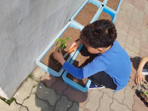 20190509_140932.jpg