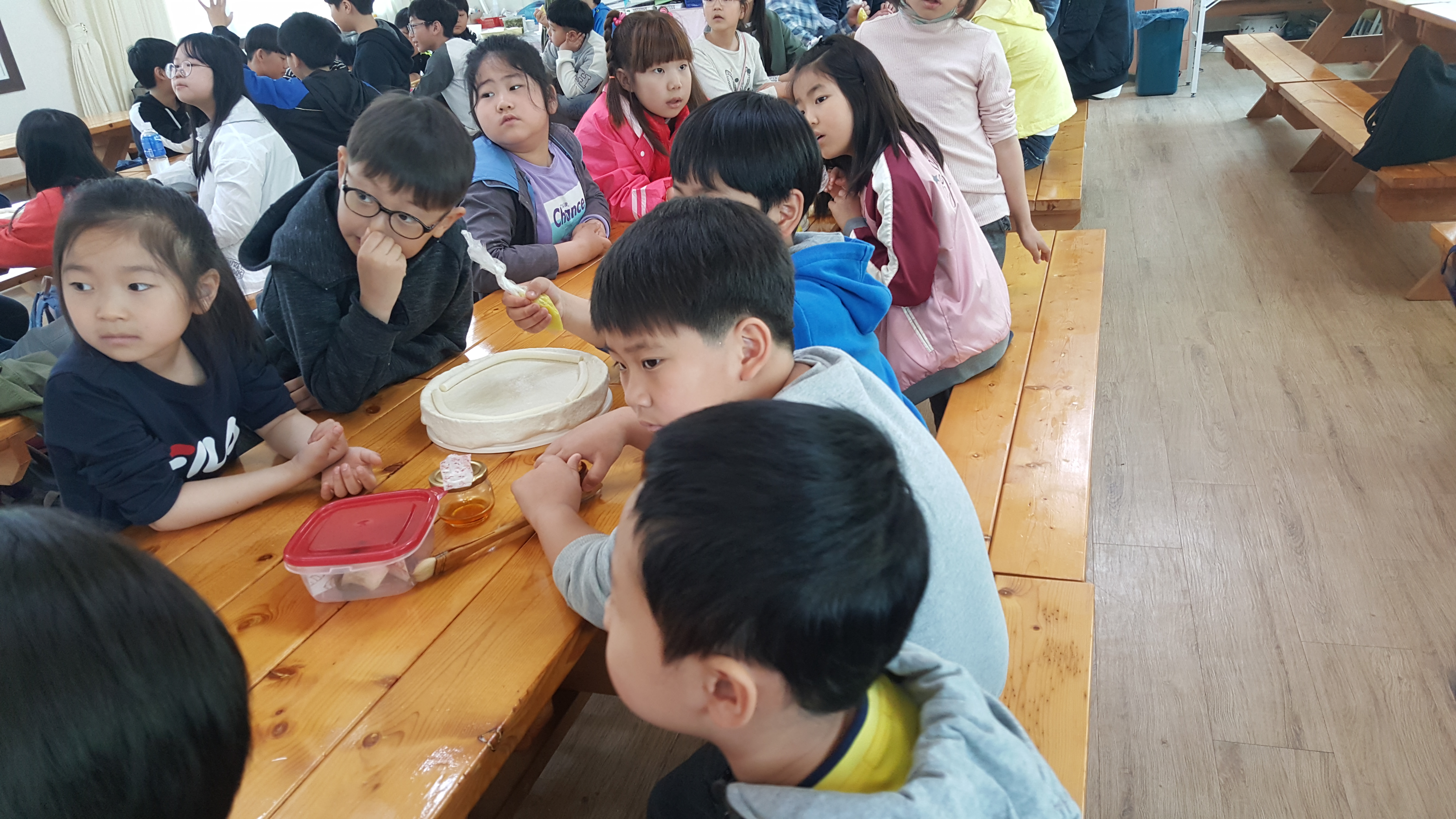 20190424_104723.jpg