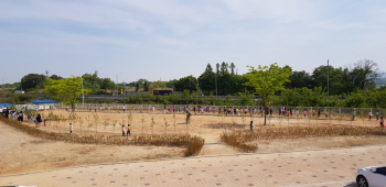20190508_094008.jpg