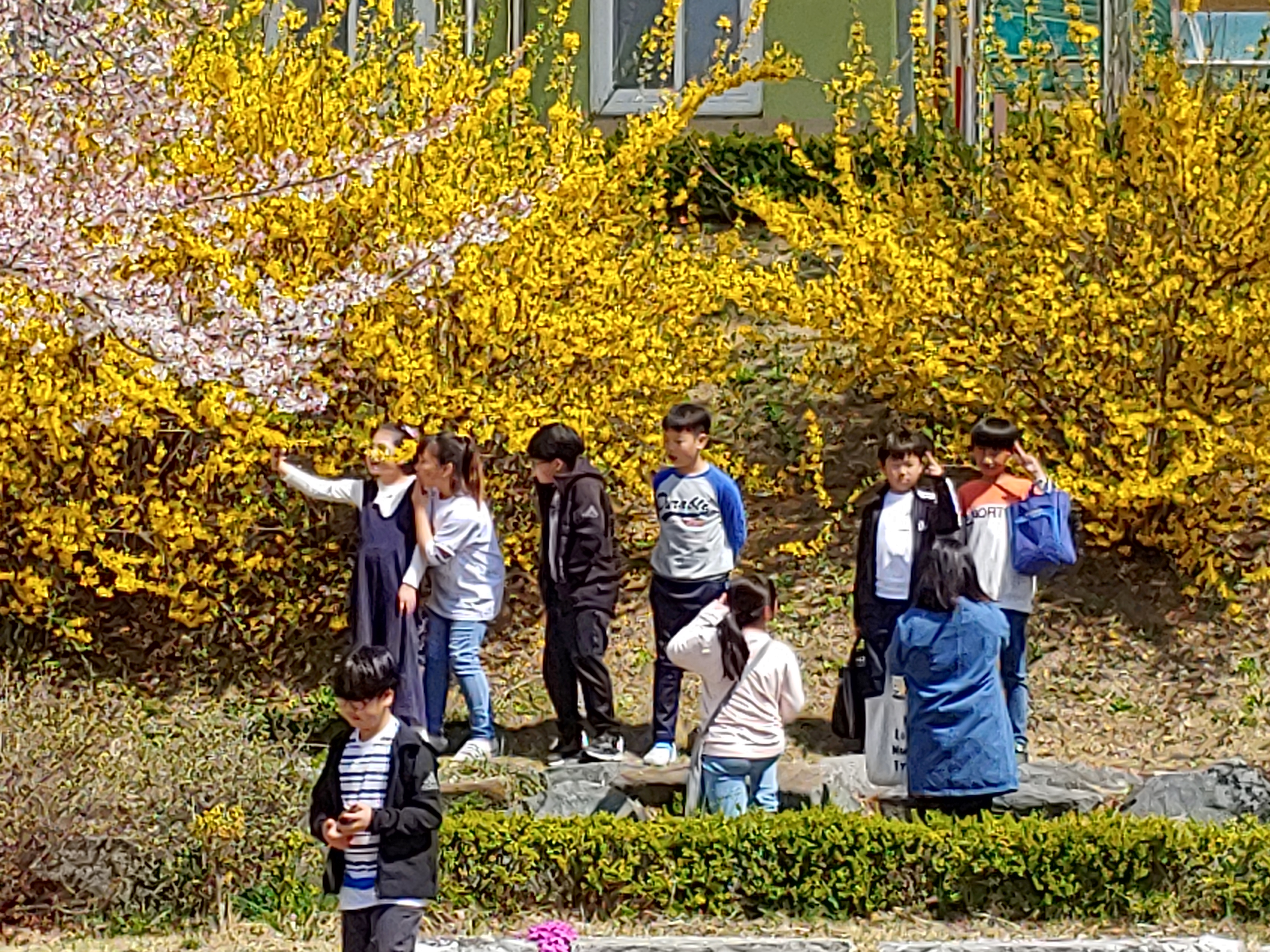 20190417_134827