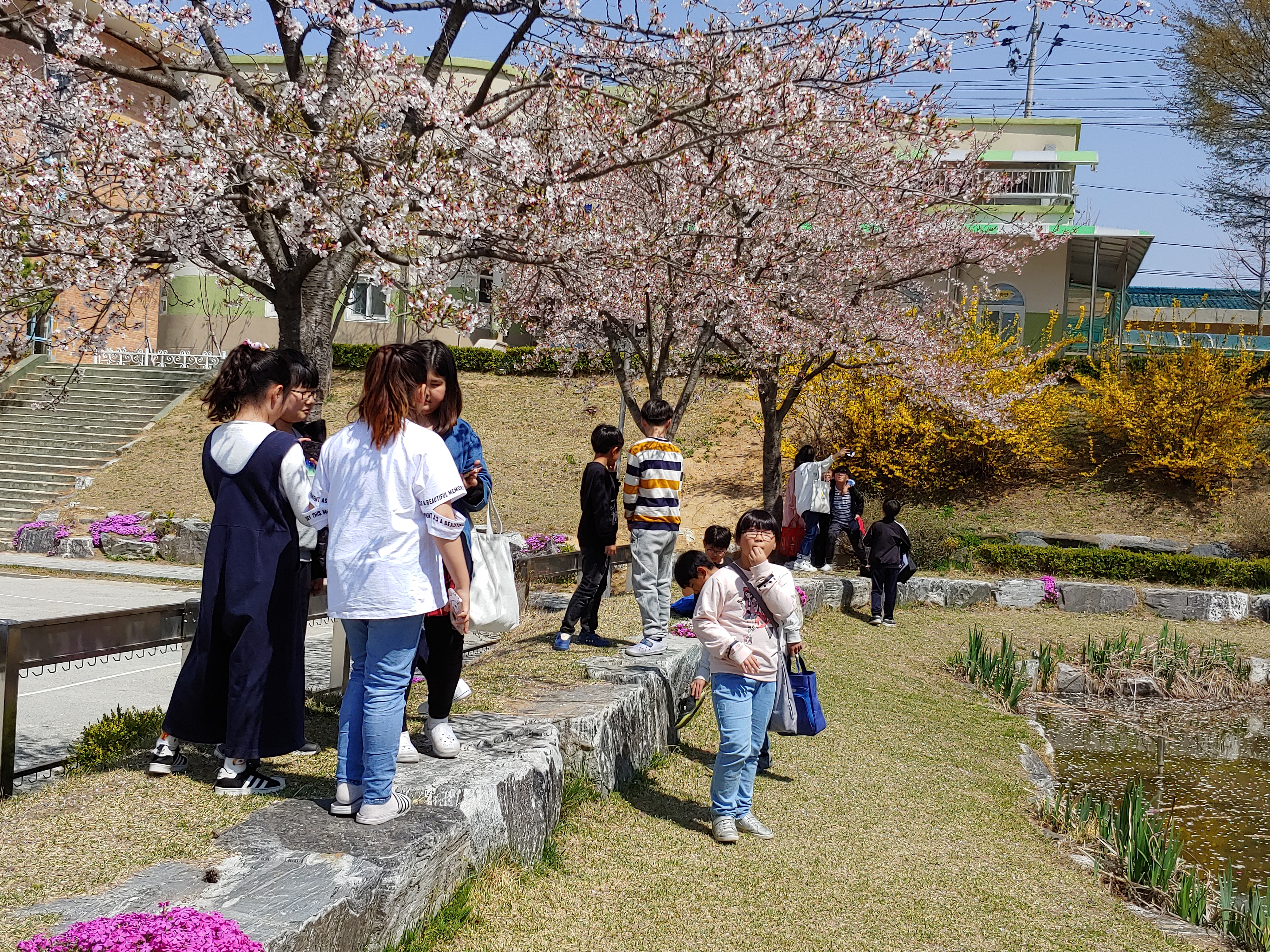 20190417_134922
