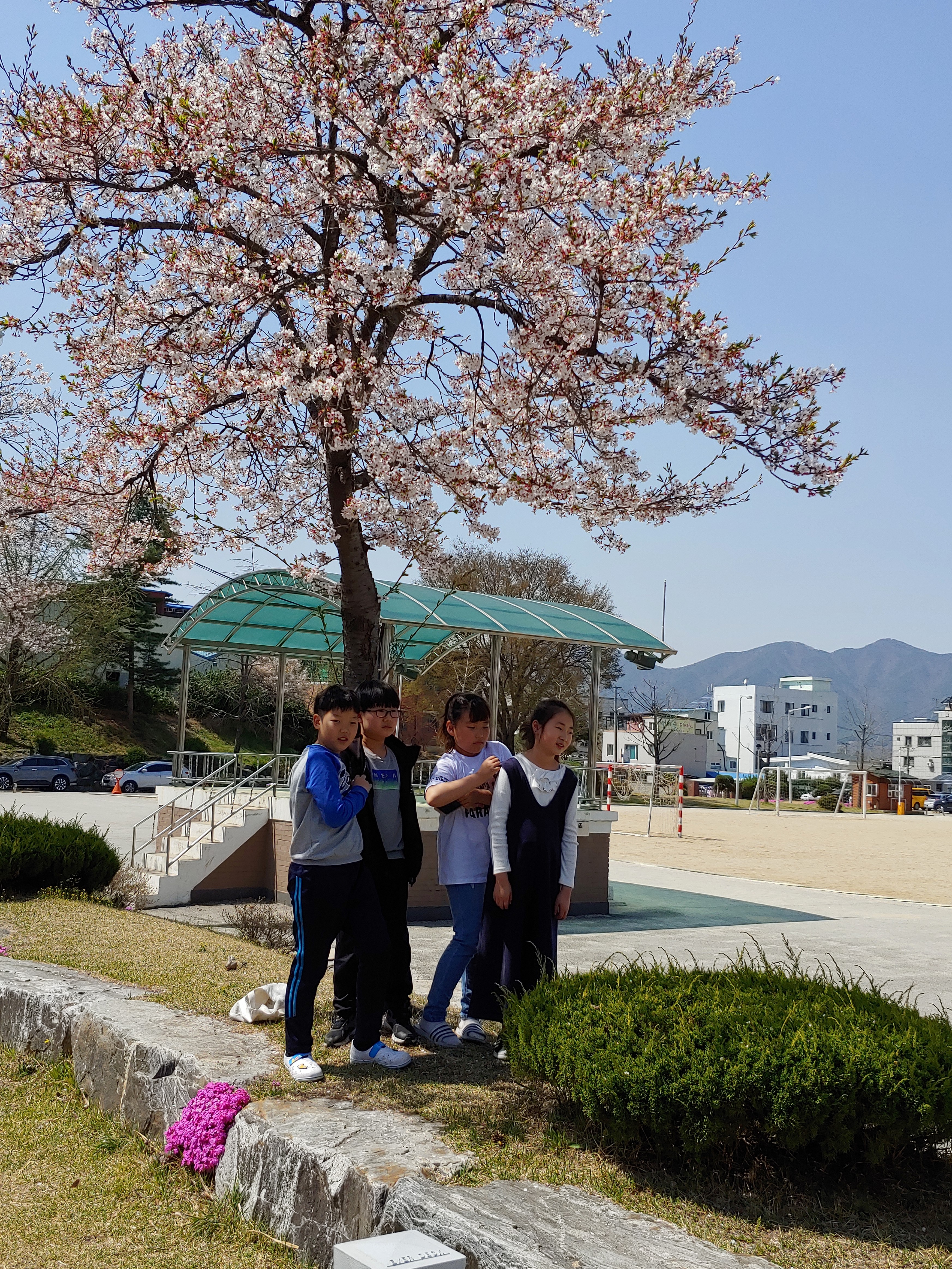 20190417_135235