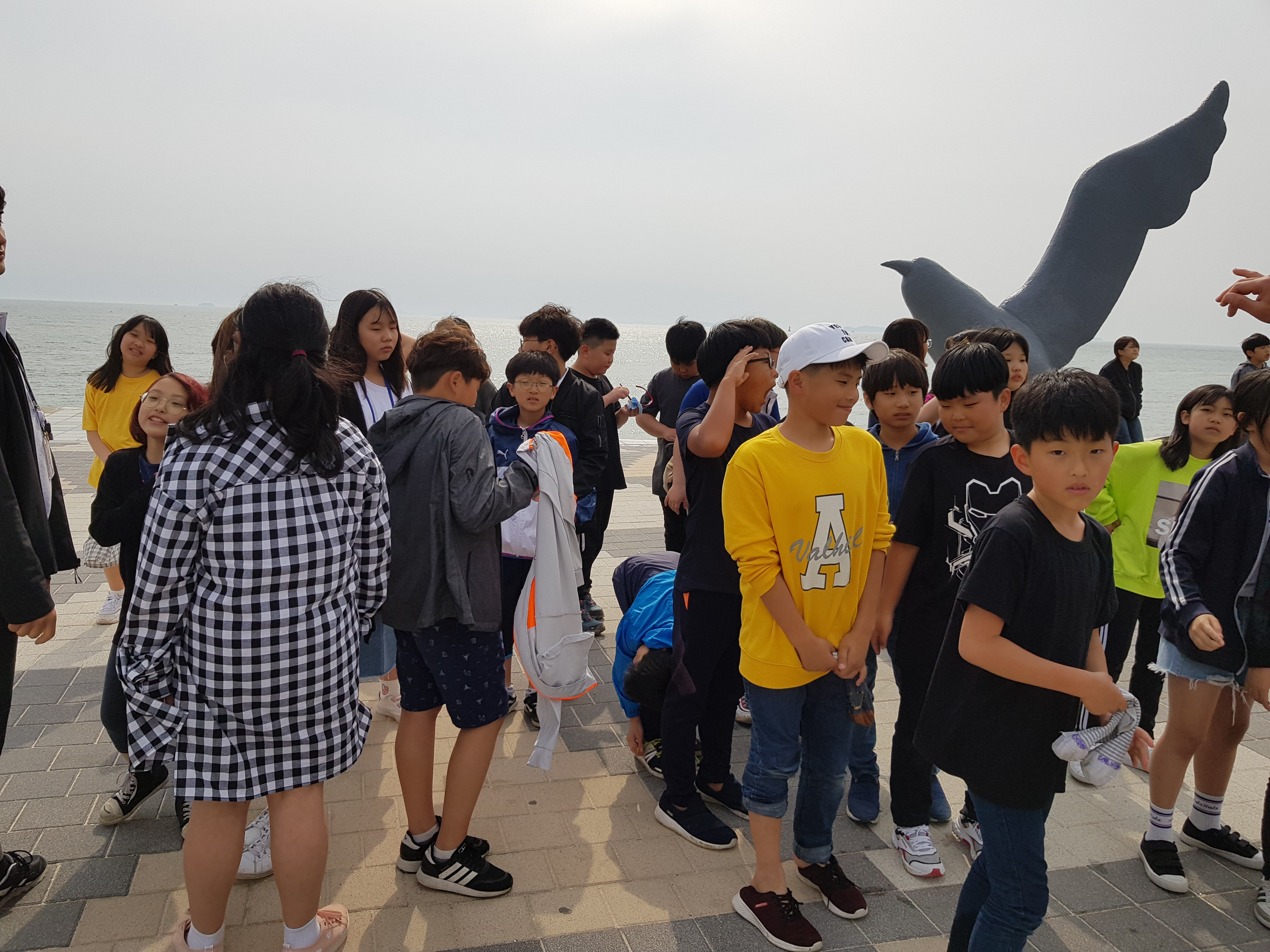 20190508_155302.jpg