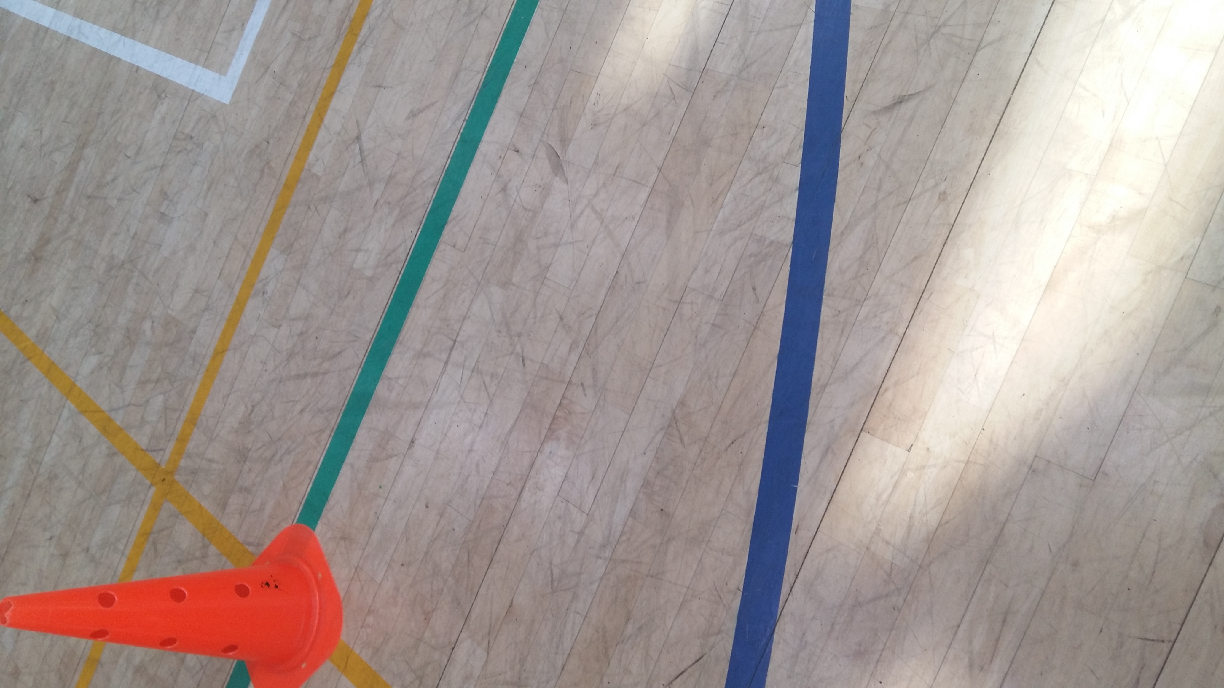 20190509_094204.jpg