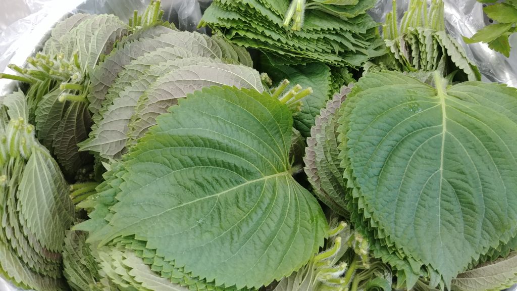 20190513_083844