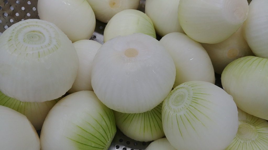 20190520_083755
