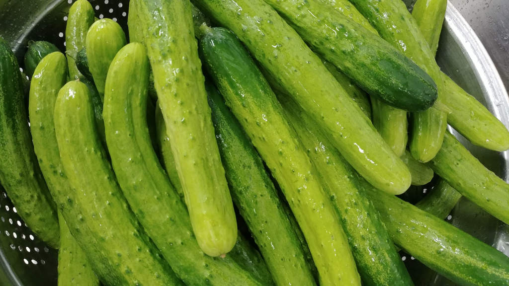 20190516_084632