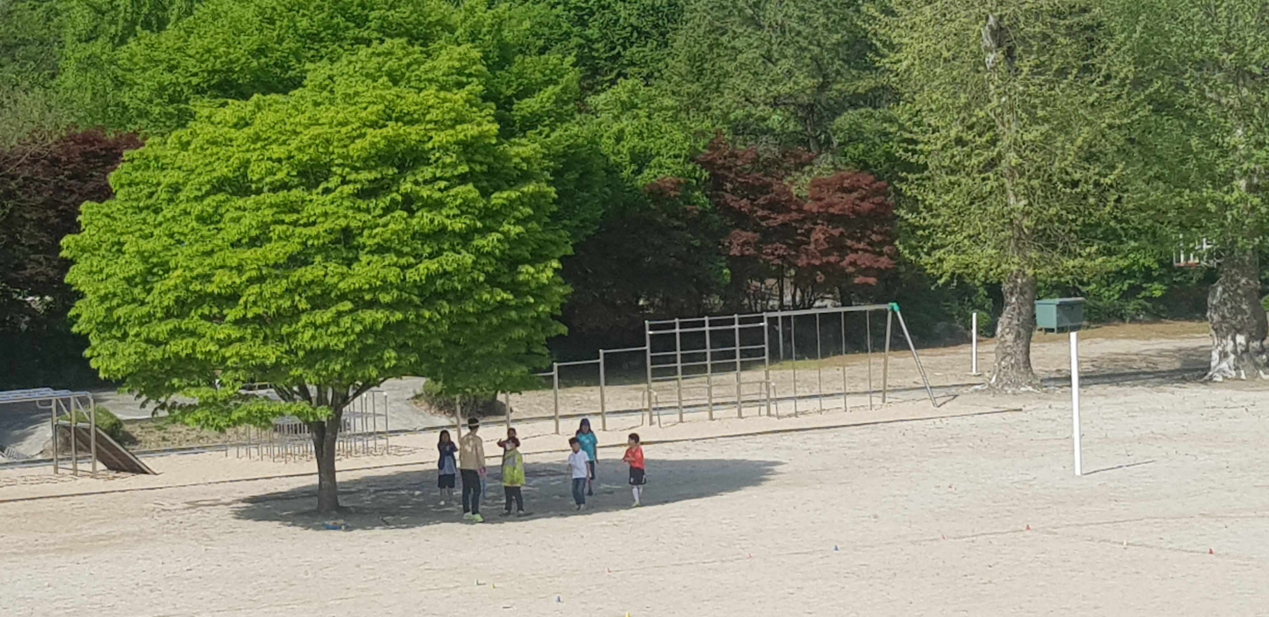 20190508_091305.jpg