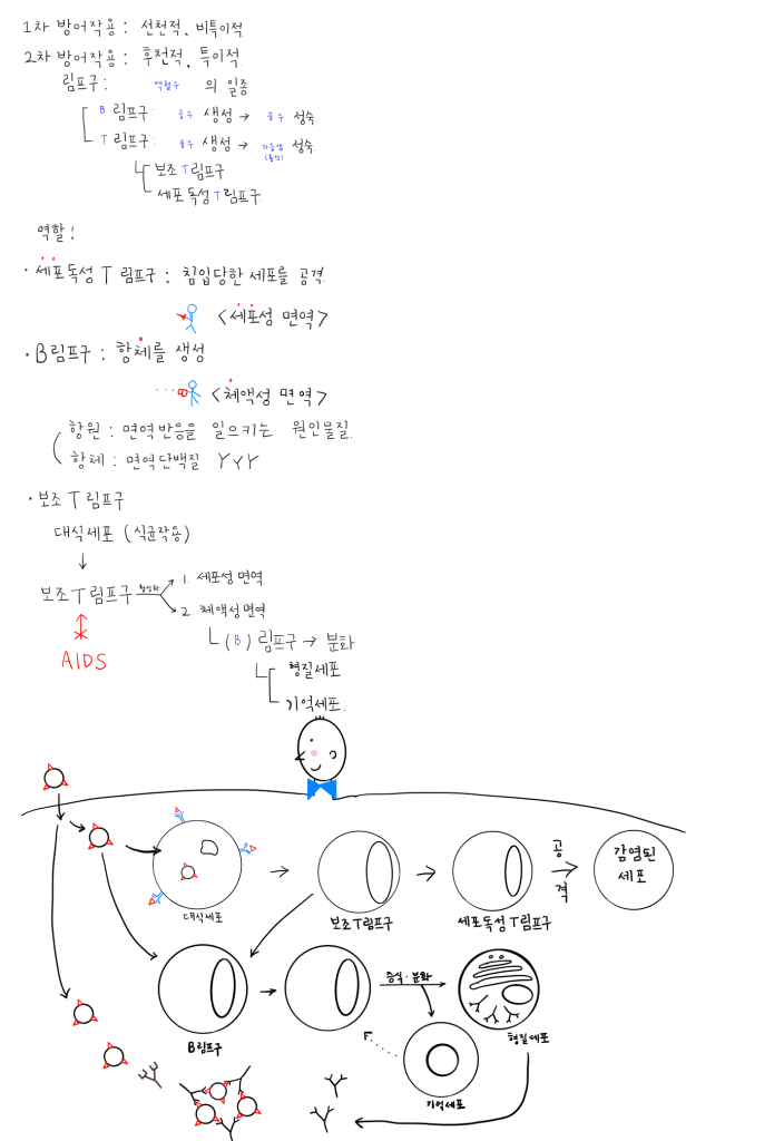 KakaoTalk_20190604_103909471