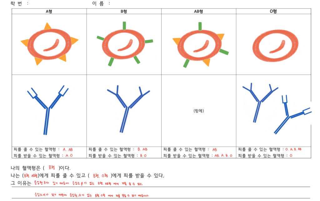 KakaoTalk_20190603_121438959