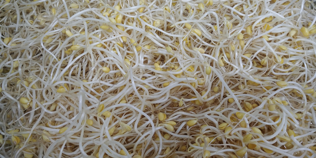 20190612_083341