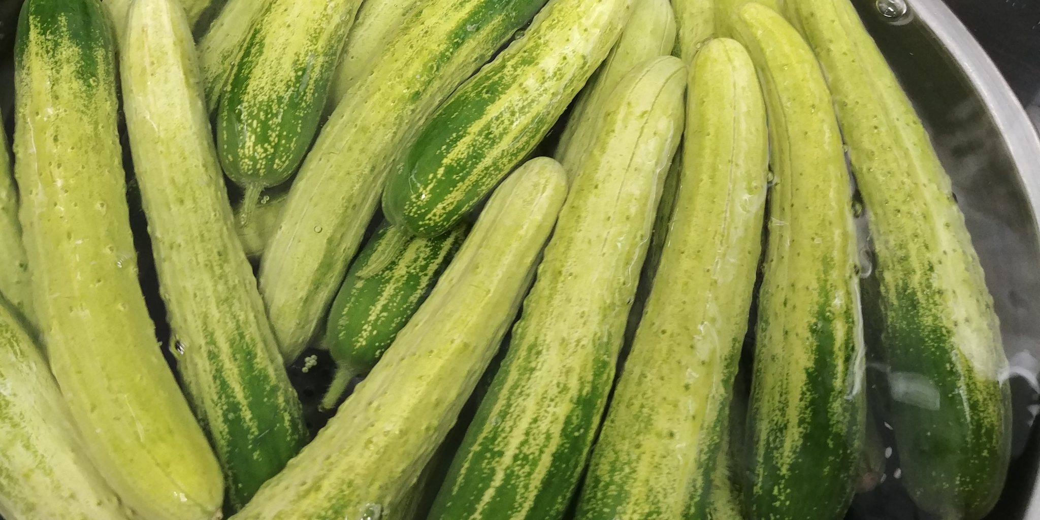 20190621_082651