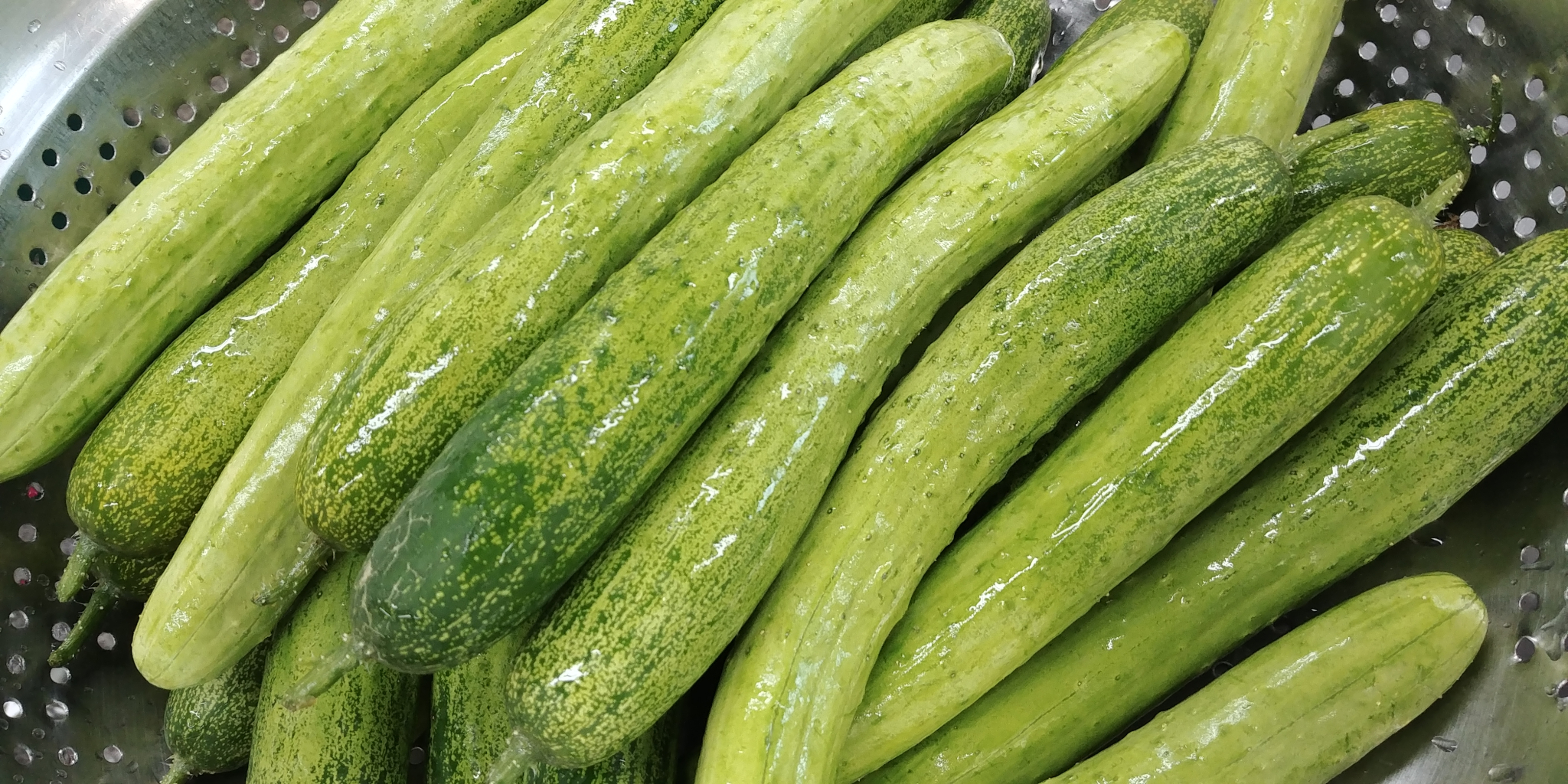 20190628_083504