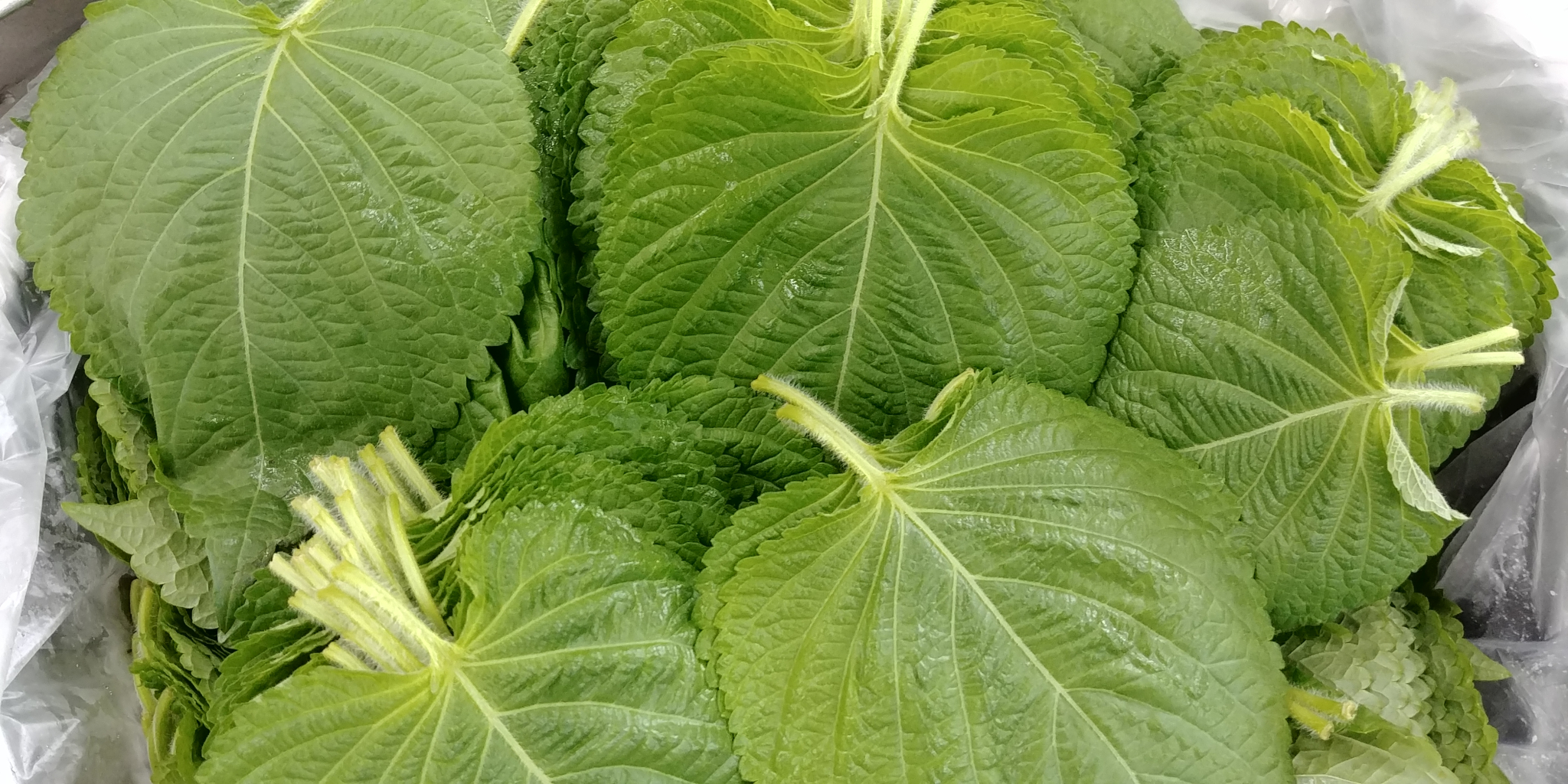 20190628_083457