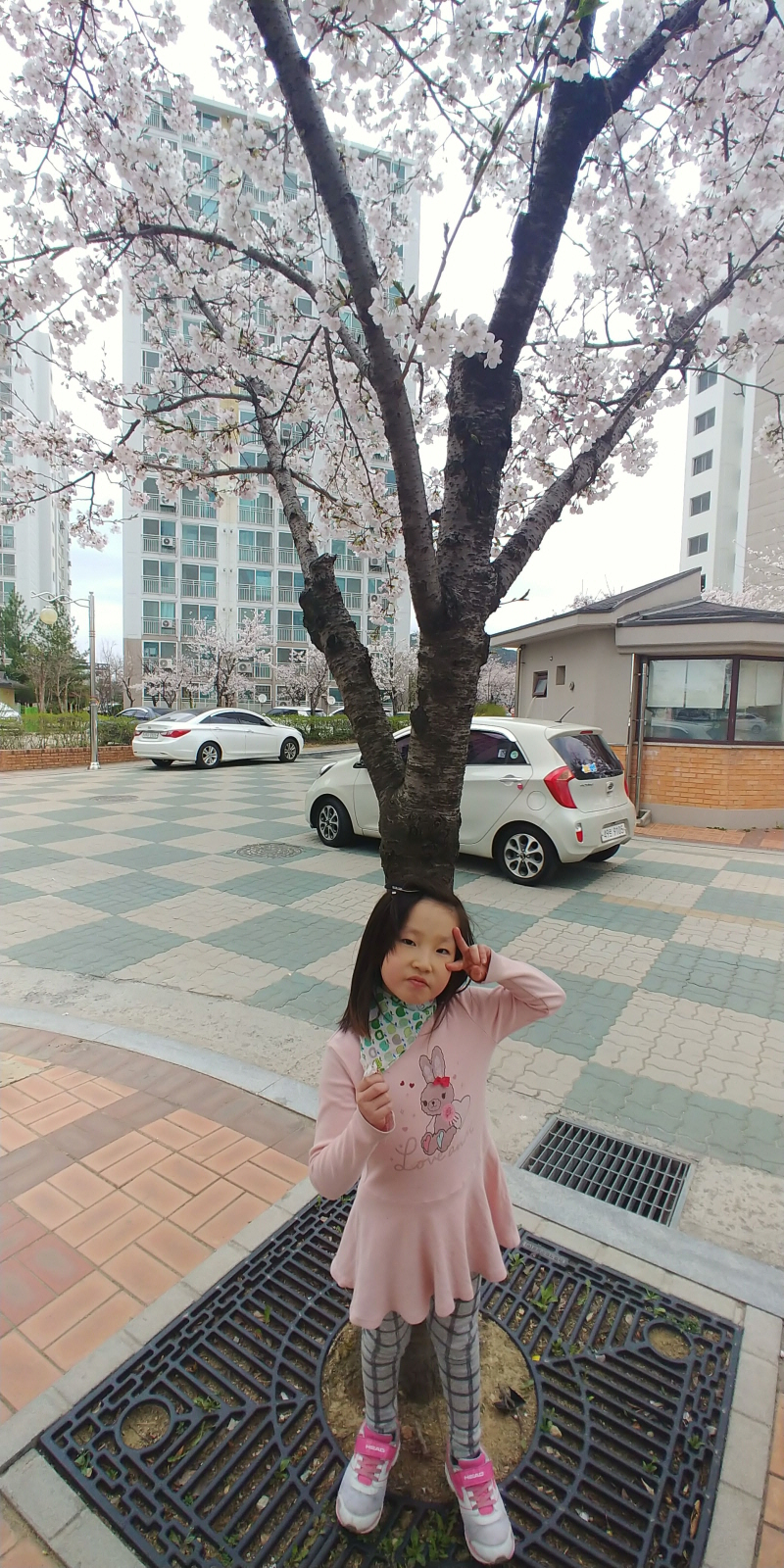 [크기변환]20190409_140215