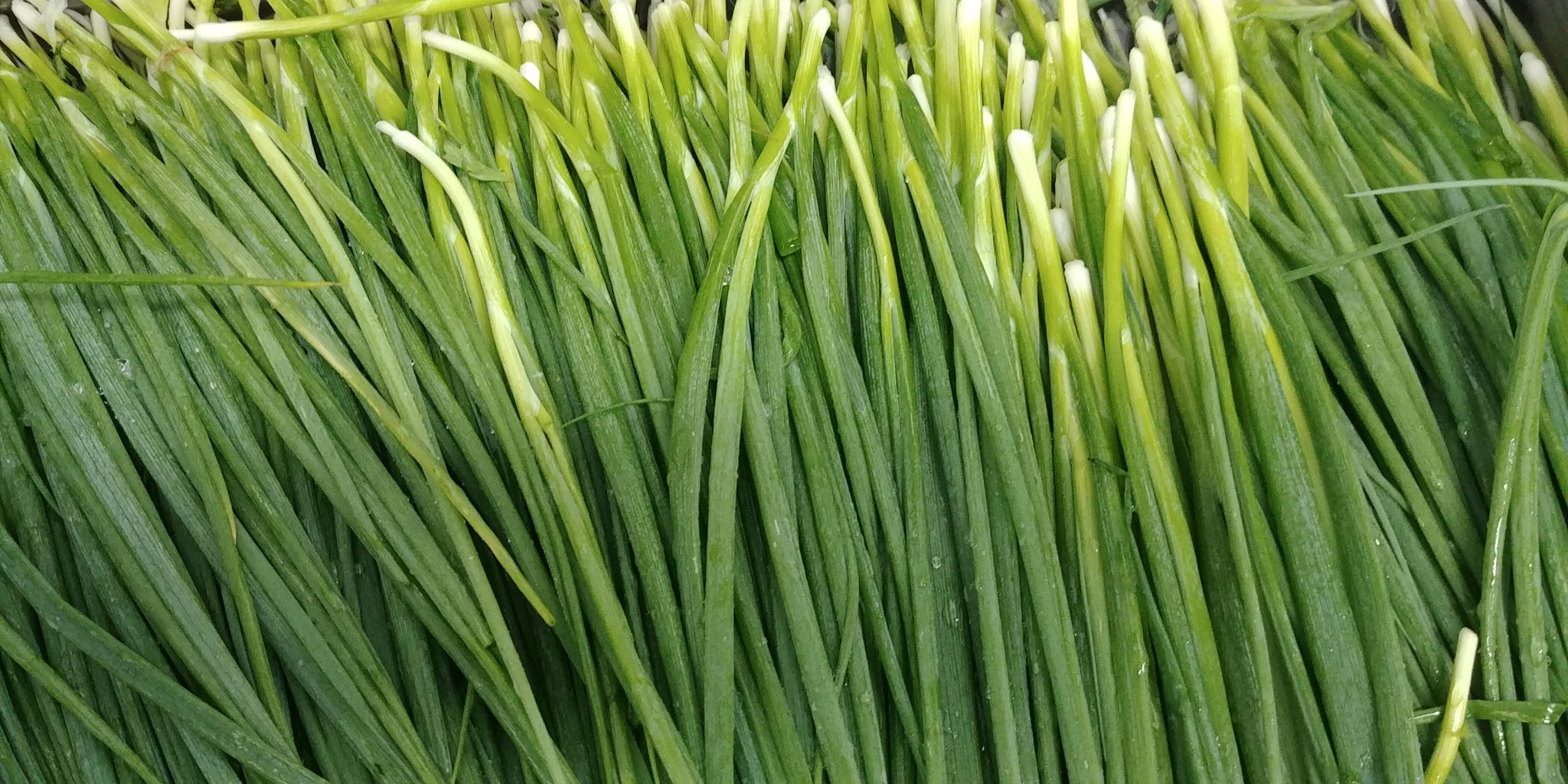 20190709_080148