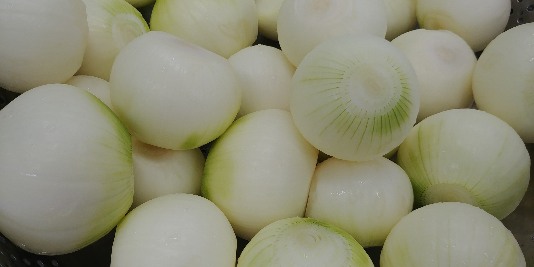 20190709_083042