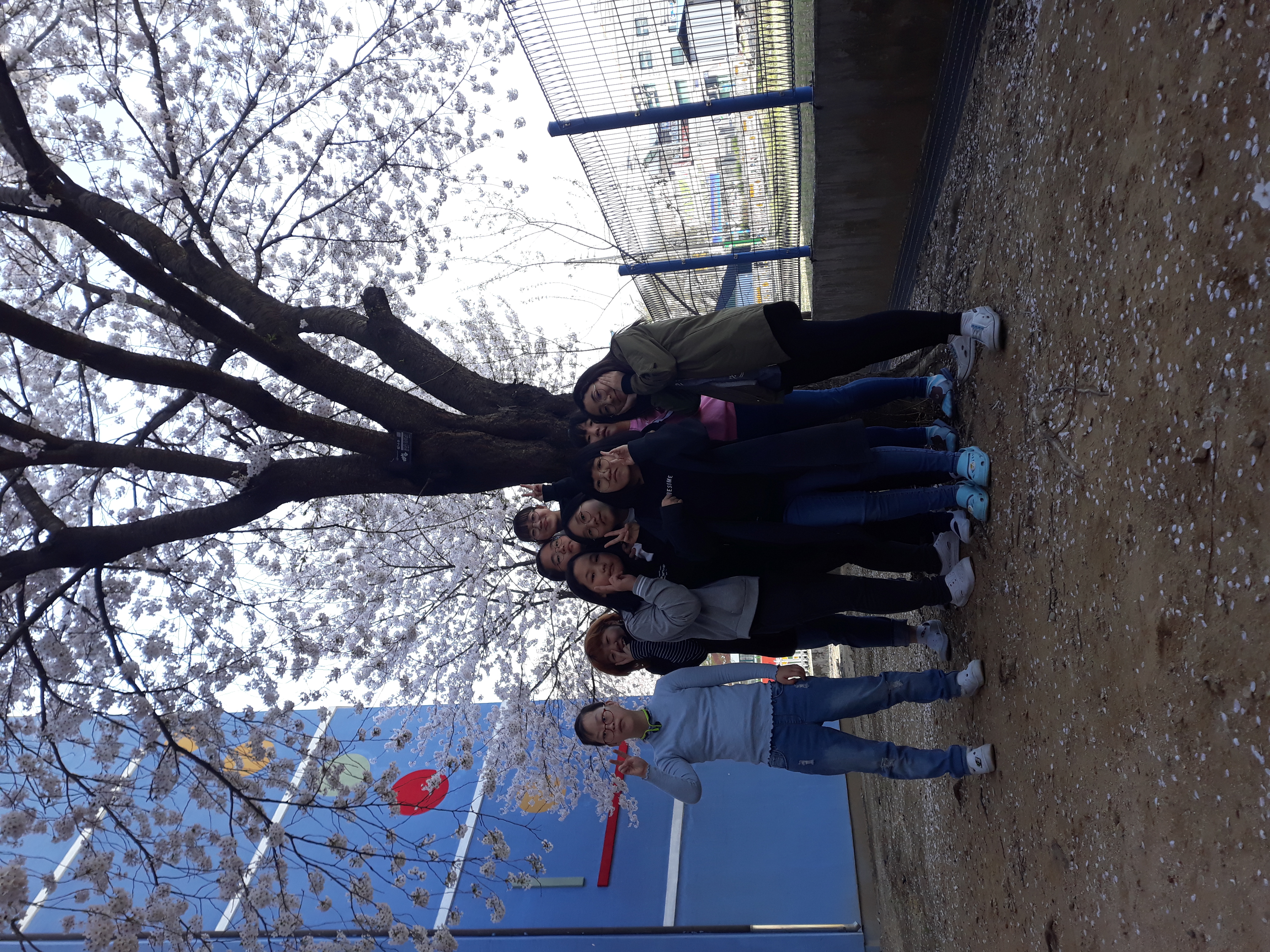 20190417_094623.jpg