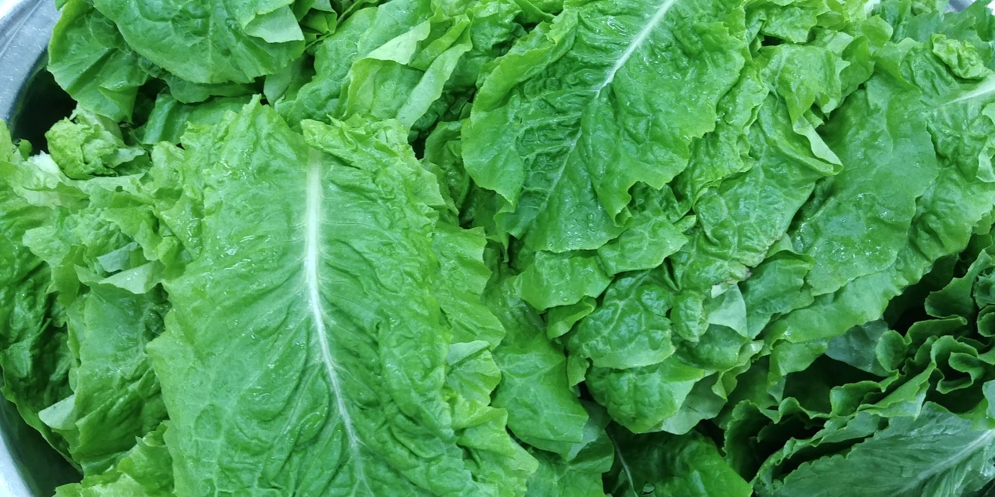 20190826_075946