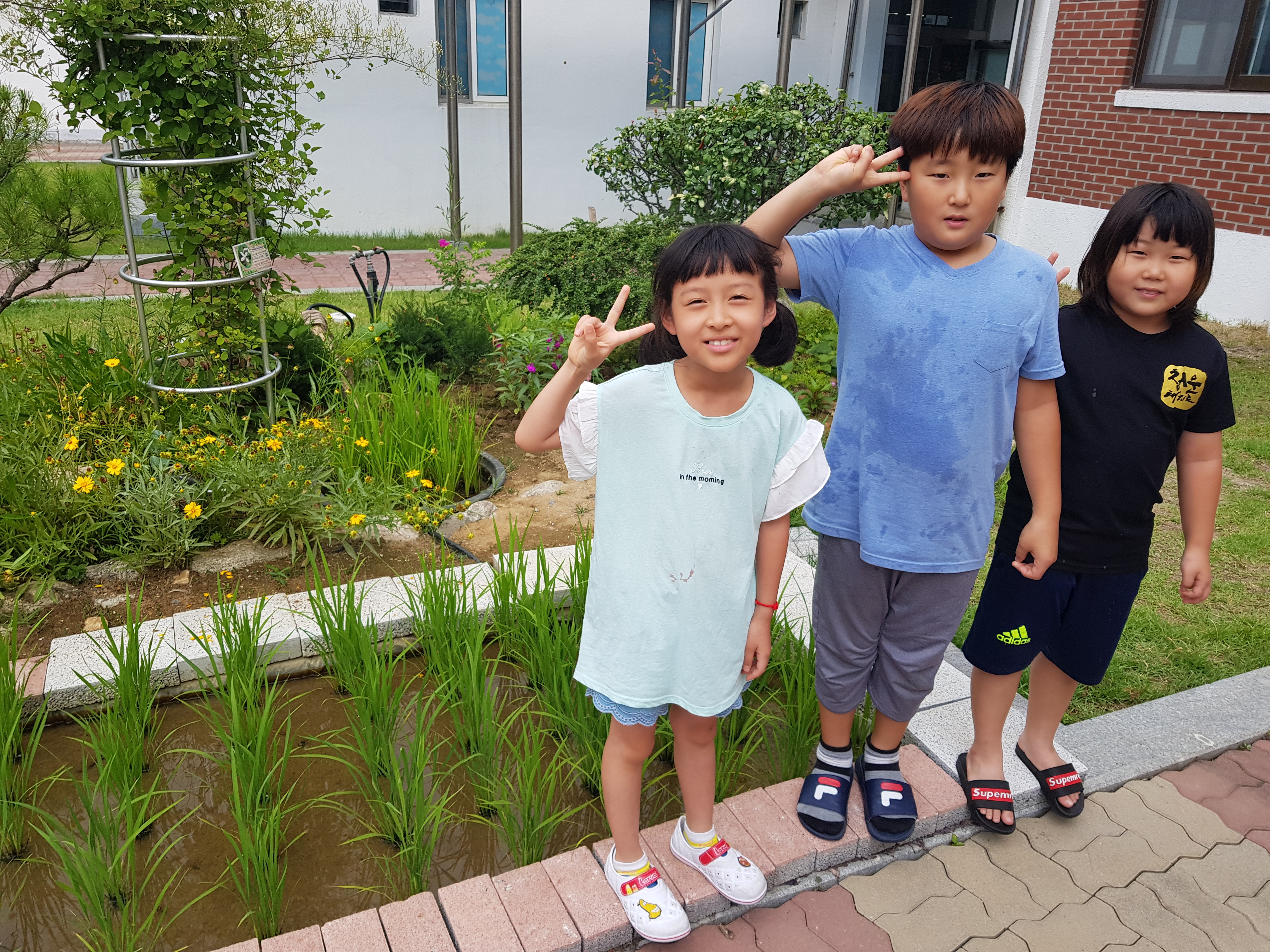 20190716_131034.jpg