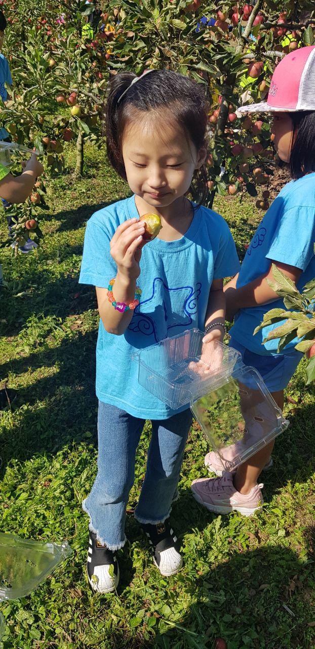 photo_2019-09-25_15-00-17