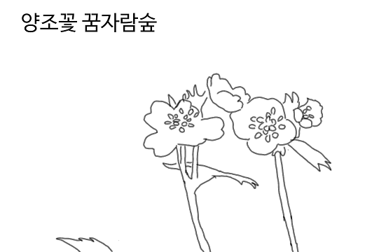 양조꽃_컬러링