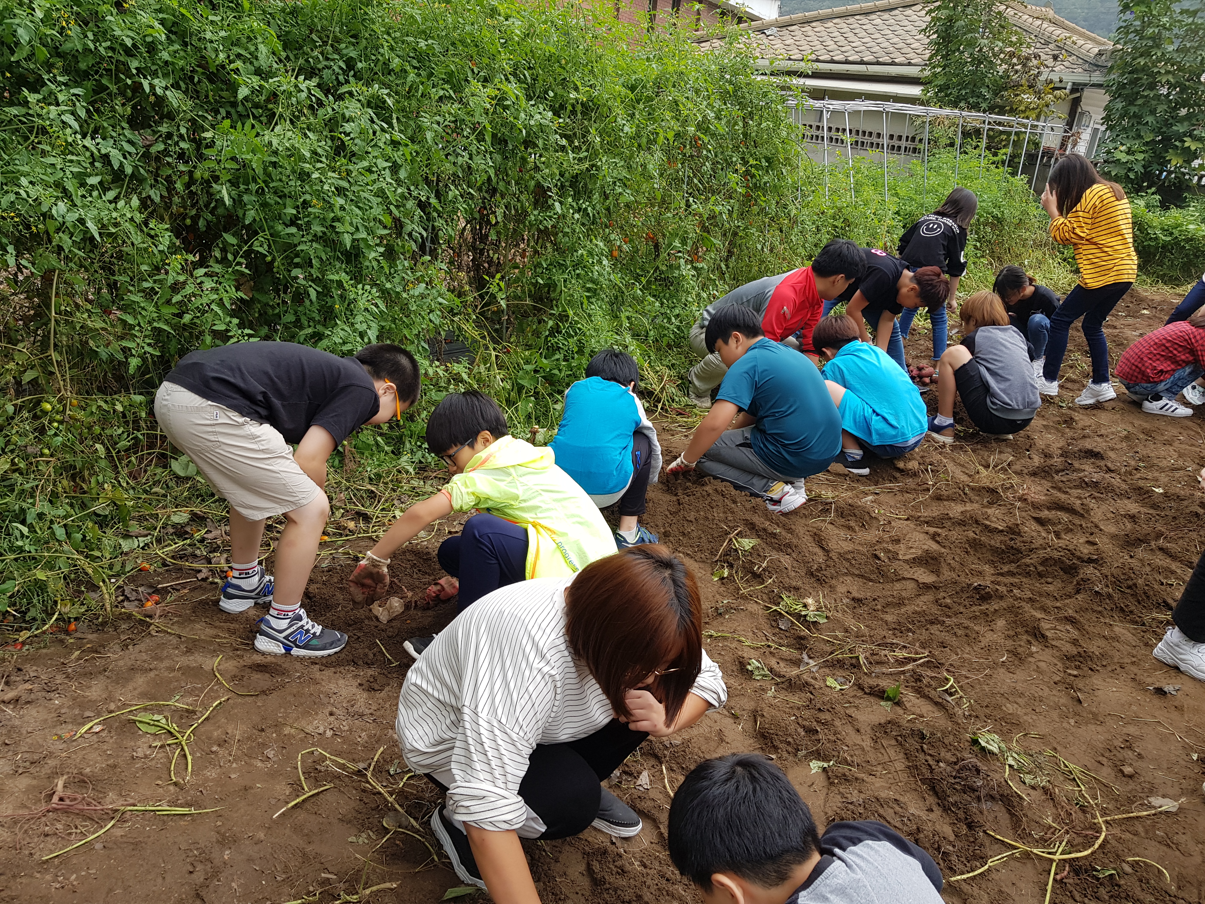20190925_105807.jpg