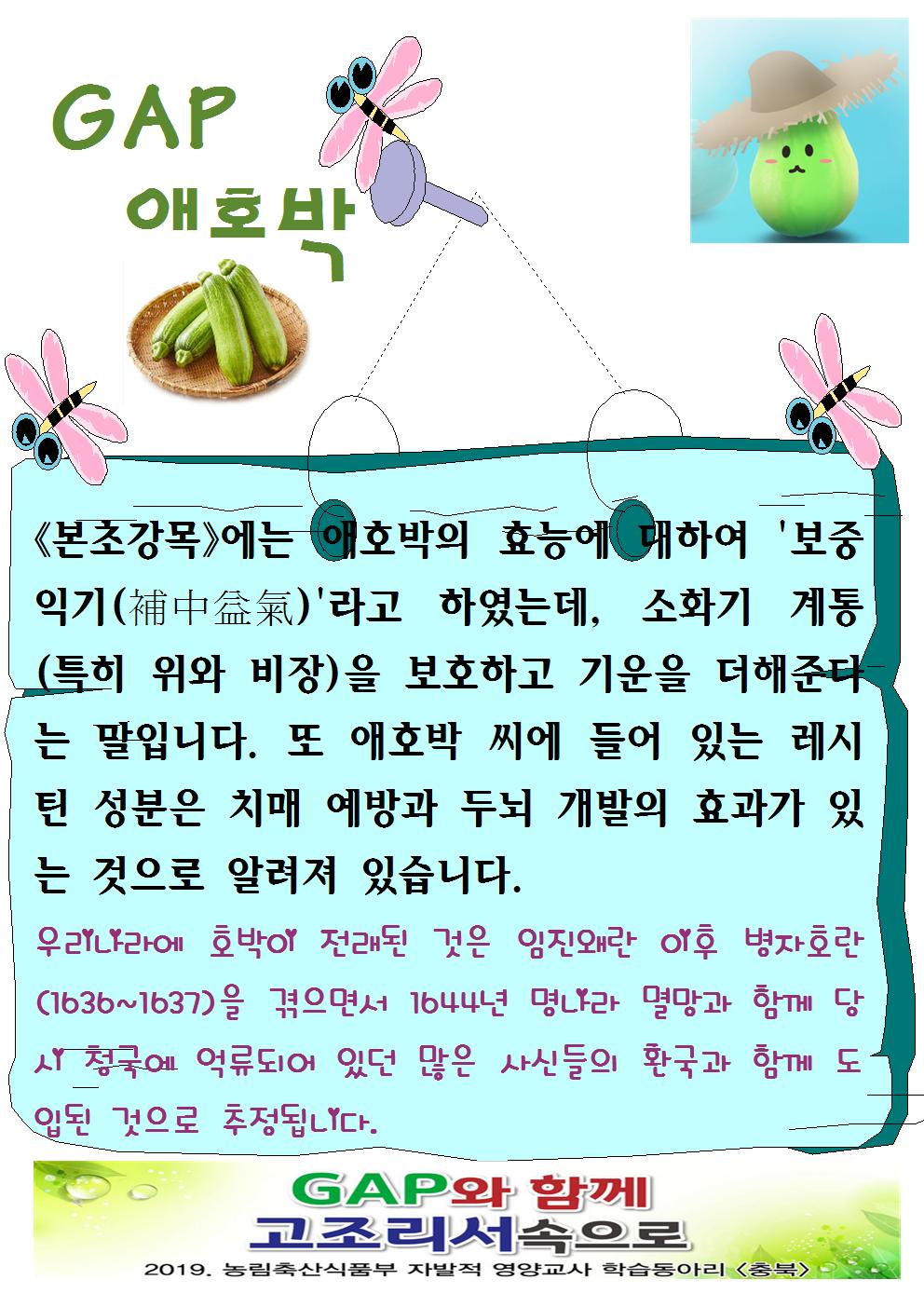 GAP애호박001