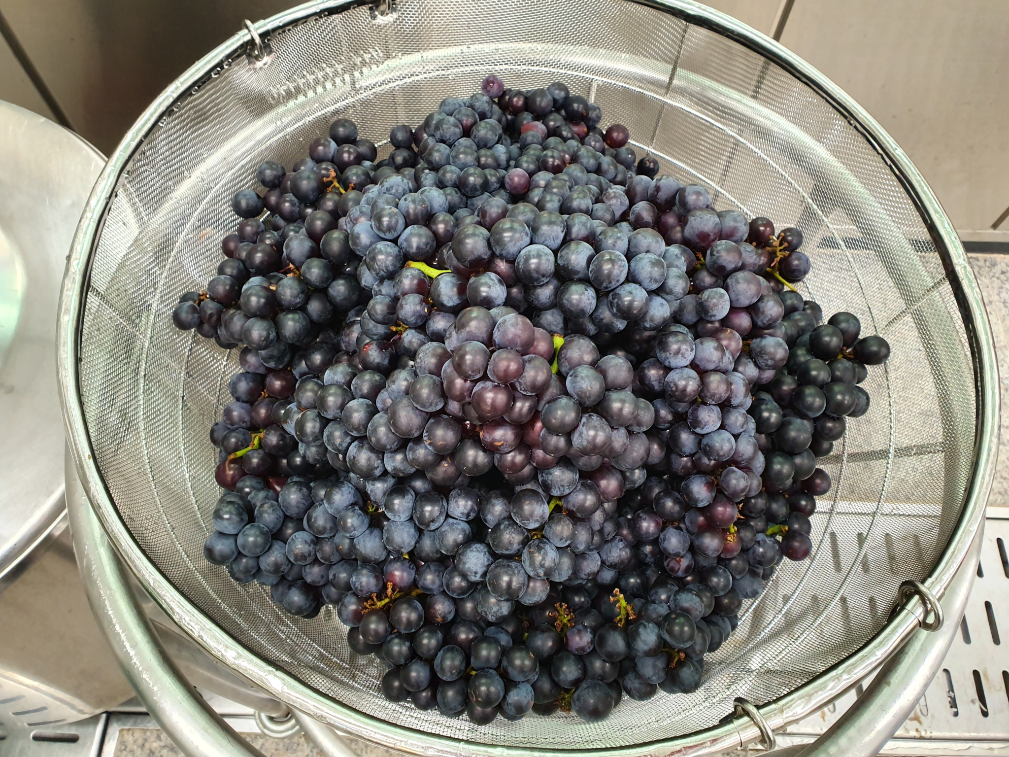20190917_100513