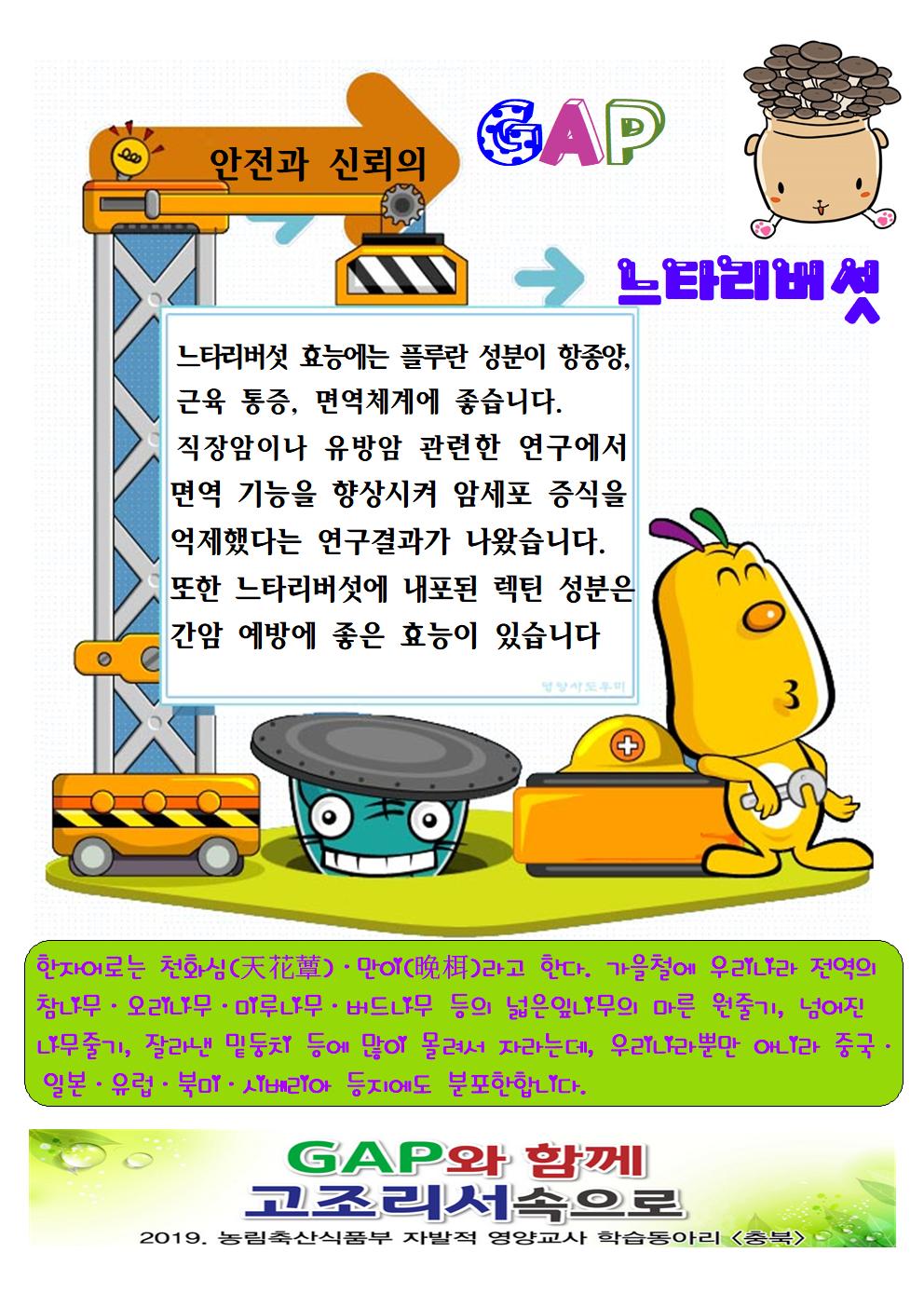 GAP 느타리001