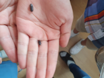 20190910_125942.jpg
